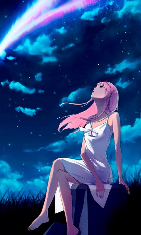 Download mobile wallpaper Anime, Crossover, Kimi No Na Wa, Darling In The Franxx, Zero Two (Darling In The Franxx) for free.