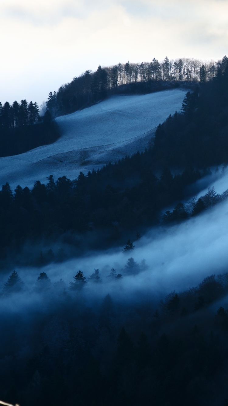 Download mobile wallpaper Landscape, Winter, Nature, Mountain, Forest, Fog, Earth for free.
