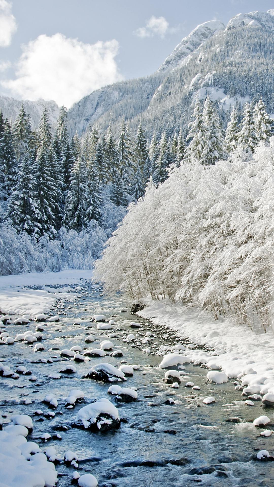 Скачать картинку Зима, Река, Снег, Гора, Лес, Дерево, Земля/природа в телефон бесплатно.