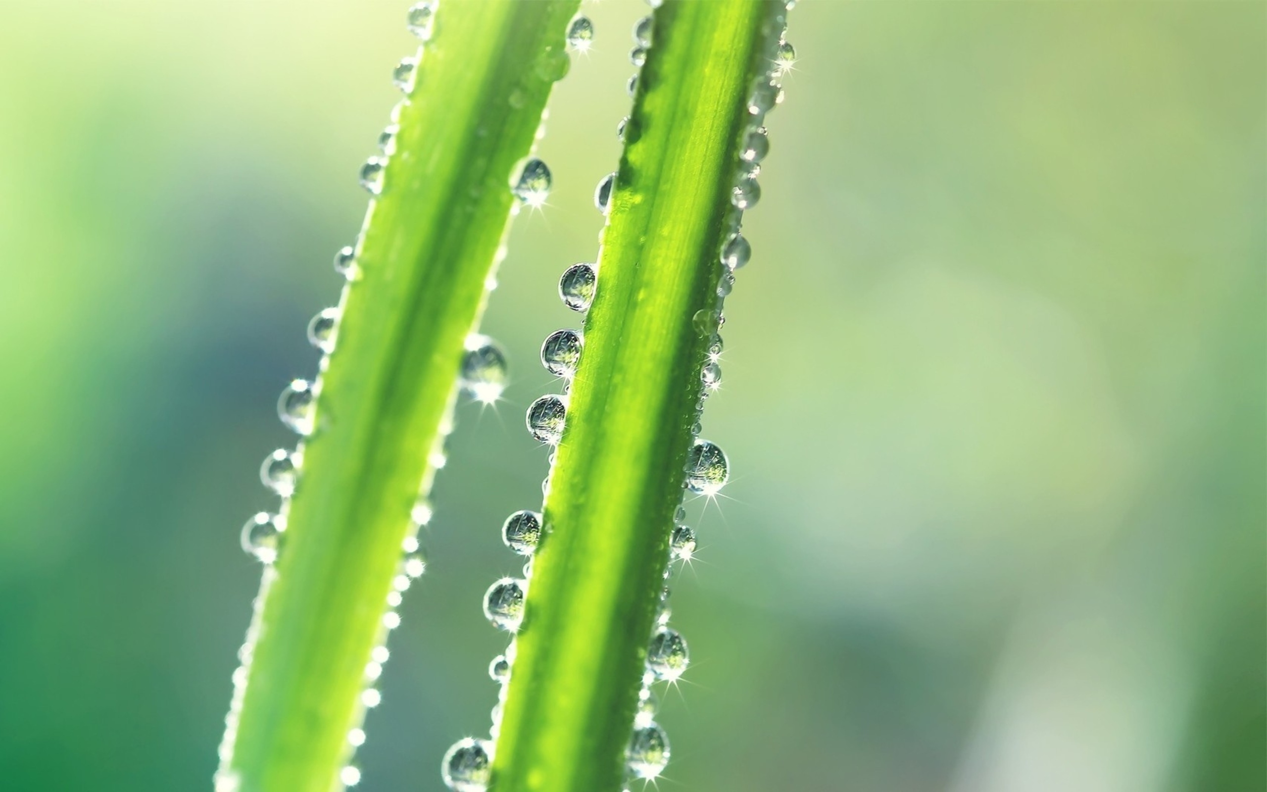 Download mobile wallpaper Earth, Water Drop for free.