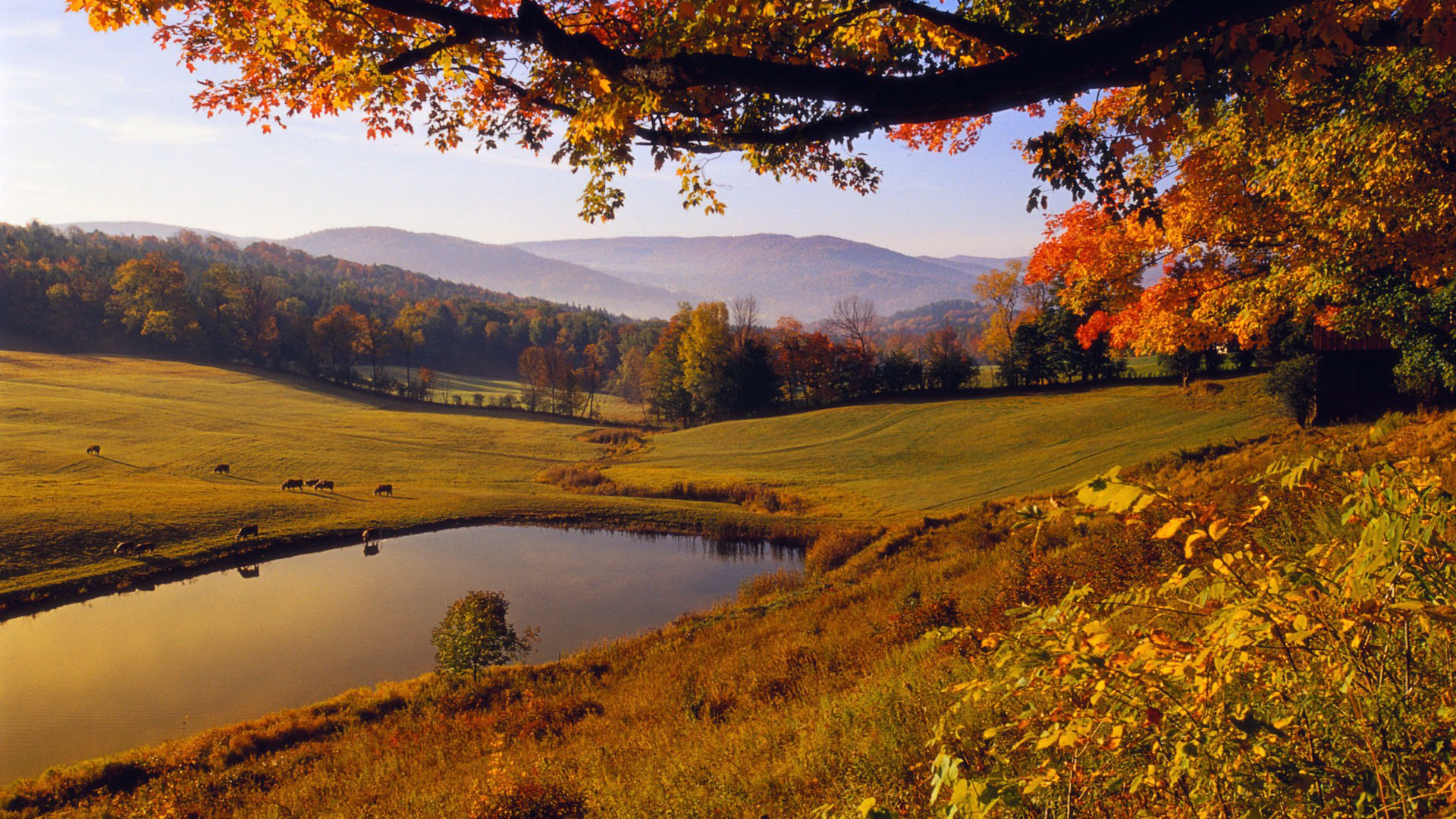 PCデスクトップに木, 秋, 湖, 風景画像を無料でダウンロード