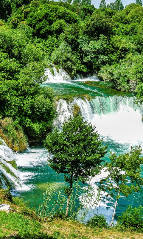 Descarga gratuita de fondo de pantalla para móvil de Cascadas, Cascada, Bosque, Árbol, Casa, Tierra, Tierra/naturaleza.