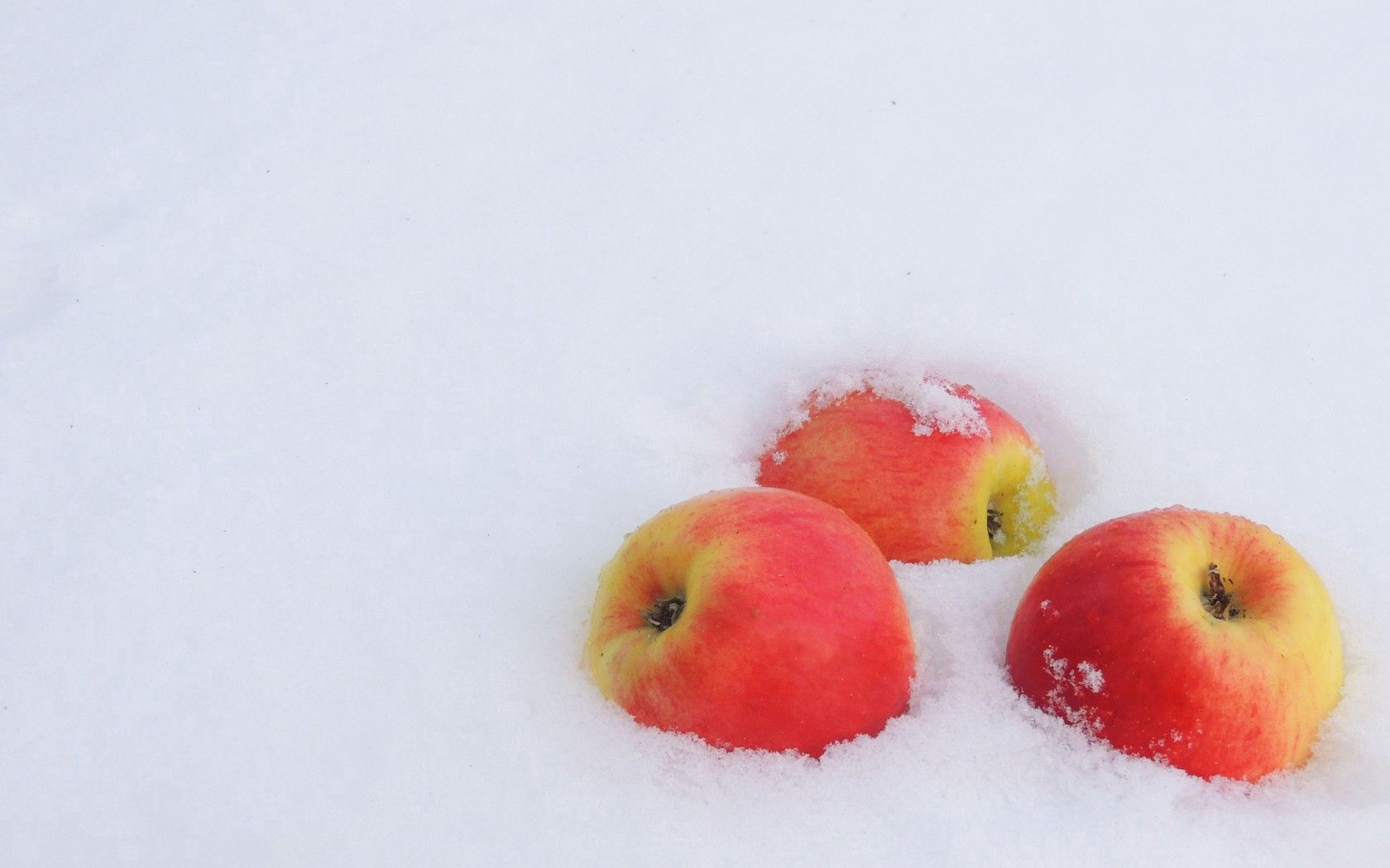 minimalism, apples, new year, frost, winter, snow