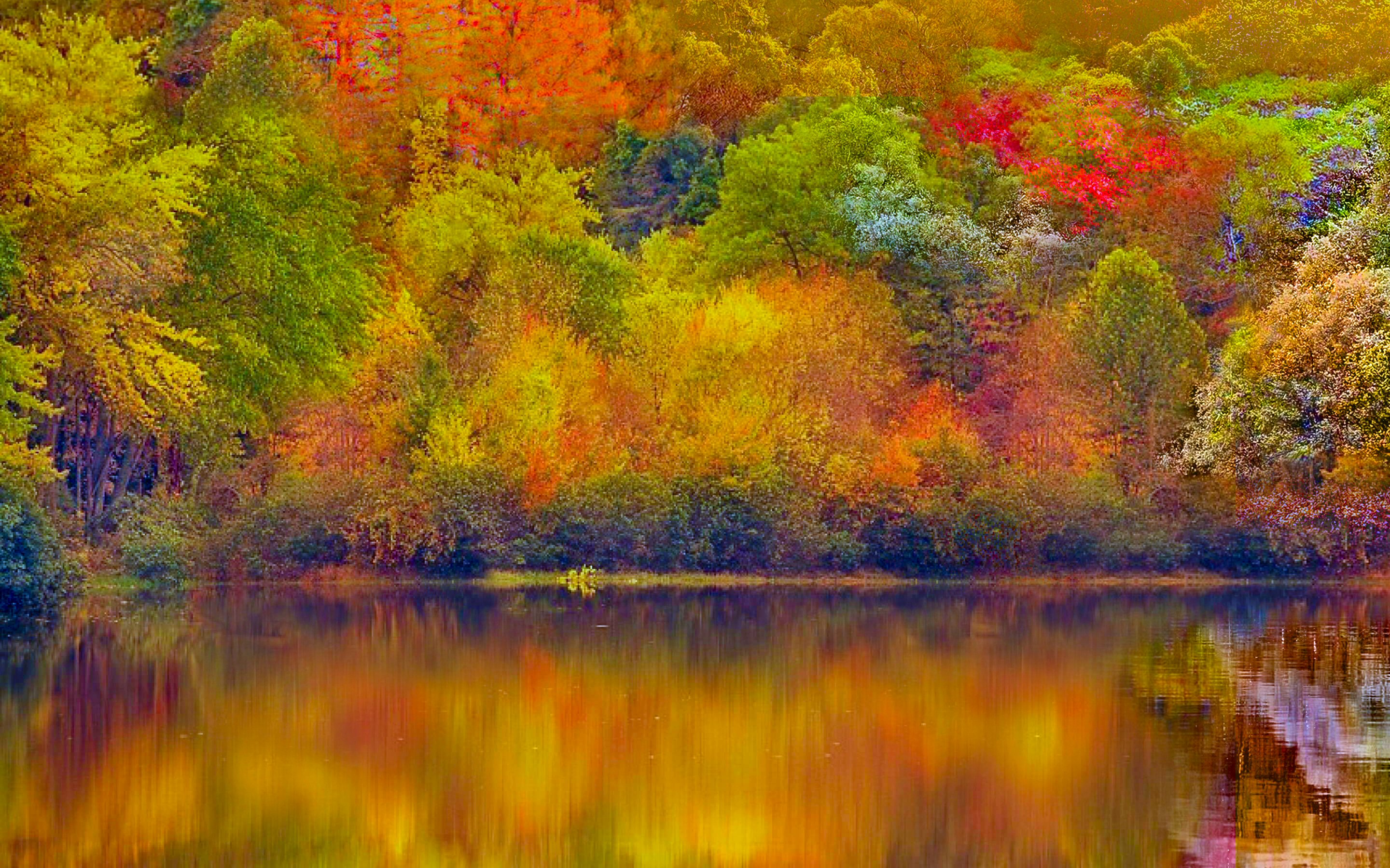 Download mobile wallpaper Nature, Lake, Reflection, Forest, Fall, Earth, Colorful for free.
