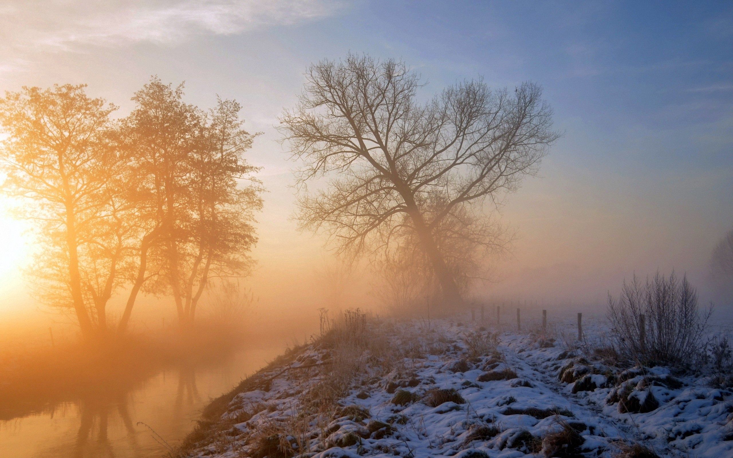 Скачать картинку Трава, Снег, Дерево, Природа в телефон бесплатно.