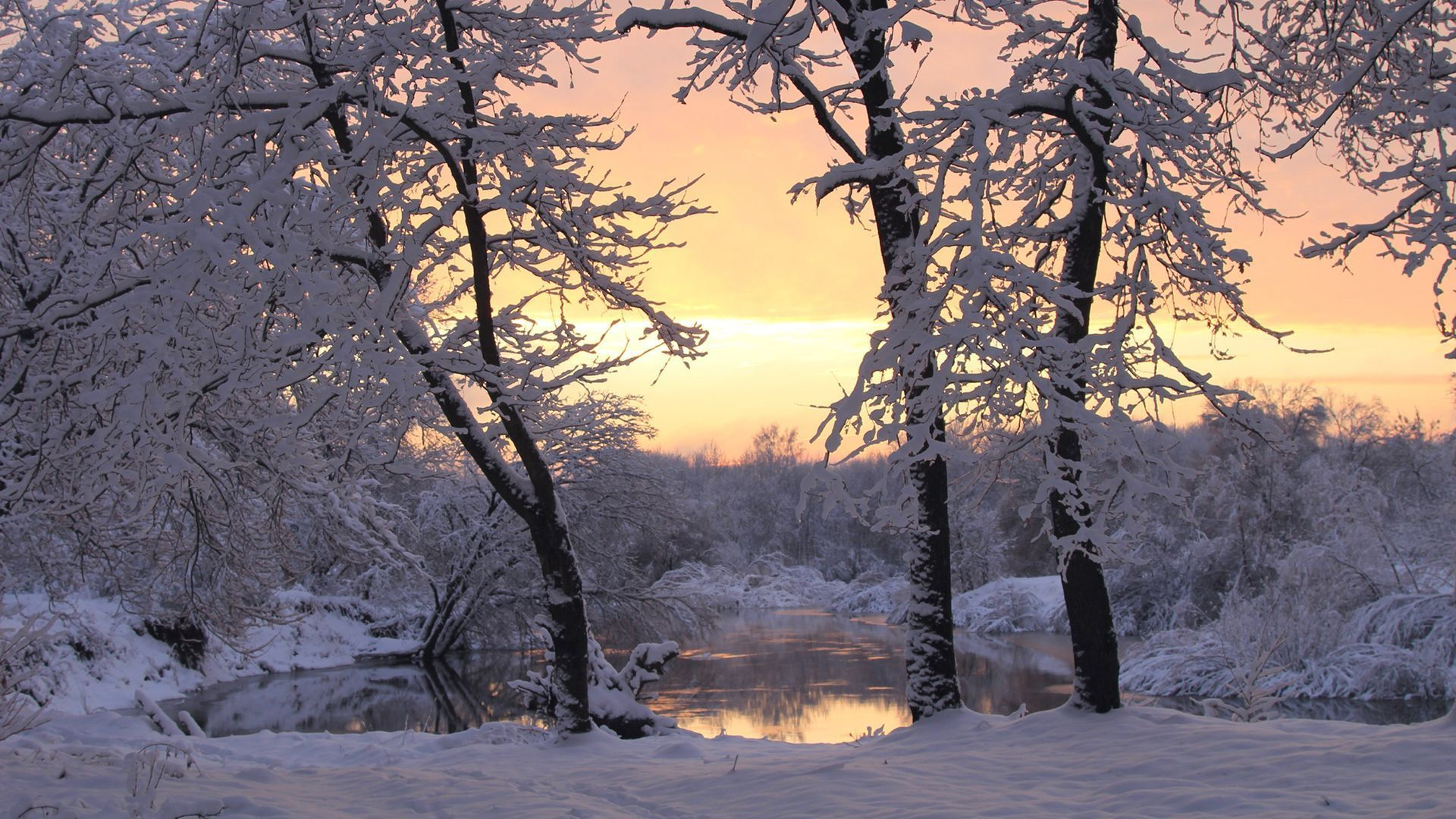 Baixe gratuitamente a imagem Inverno, Pôr Do Sol, Neve, Árvore, Terra/natureza na área de trabalho do seu PC