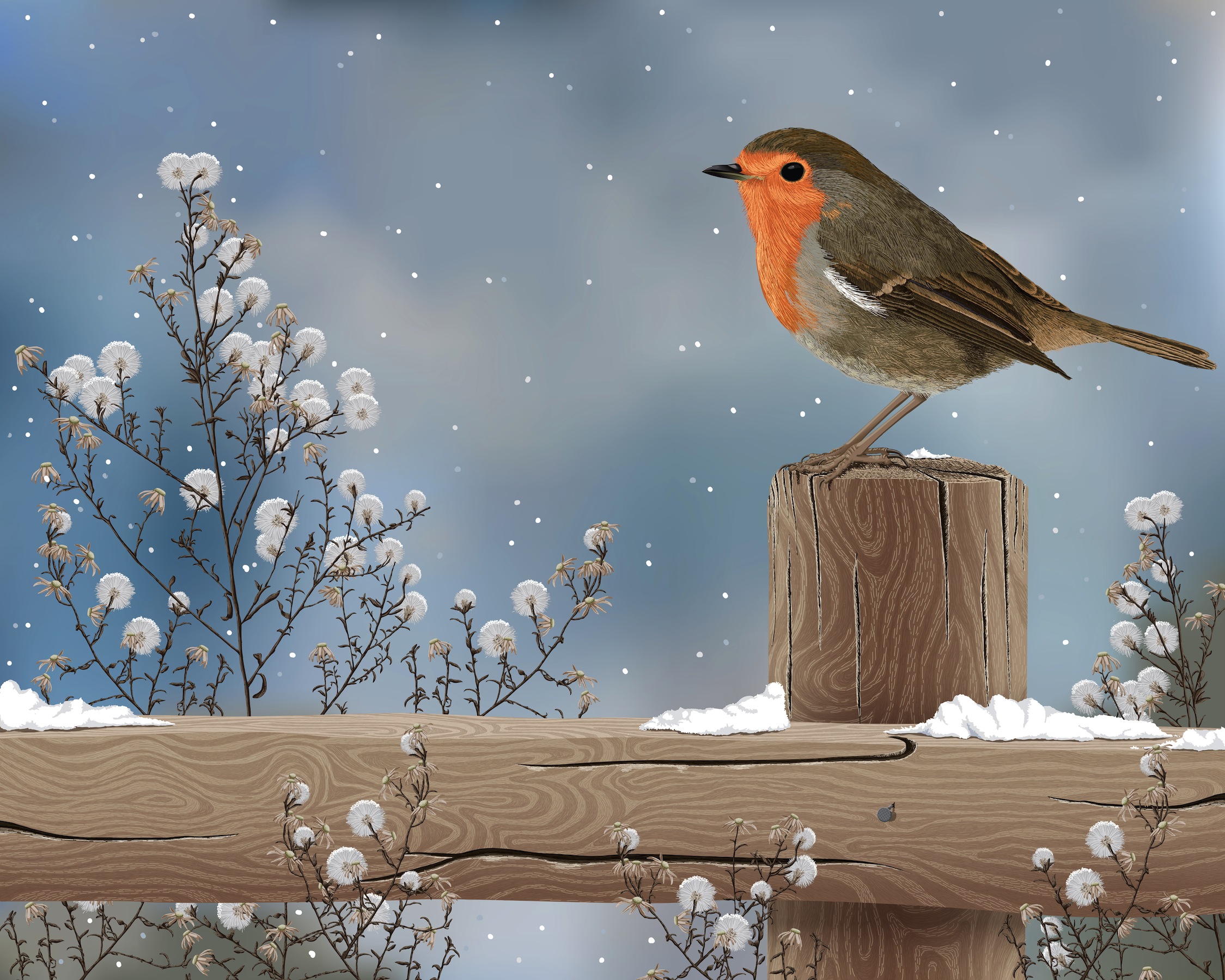 Скачать обои бесплатно Животные, Зима, Птицы, Снег, Дерево, Ограда, Робин картинка на рабочий стол ПК