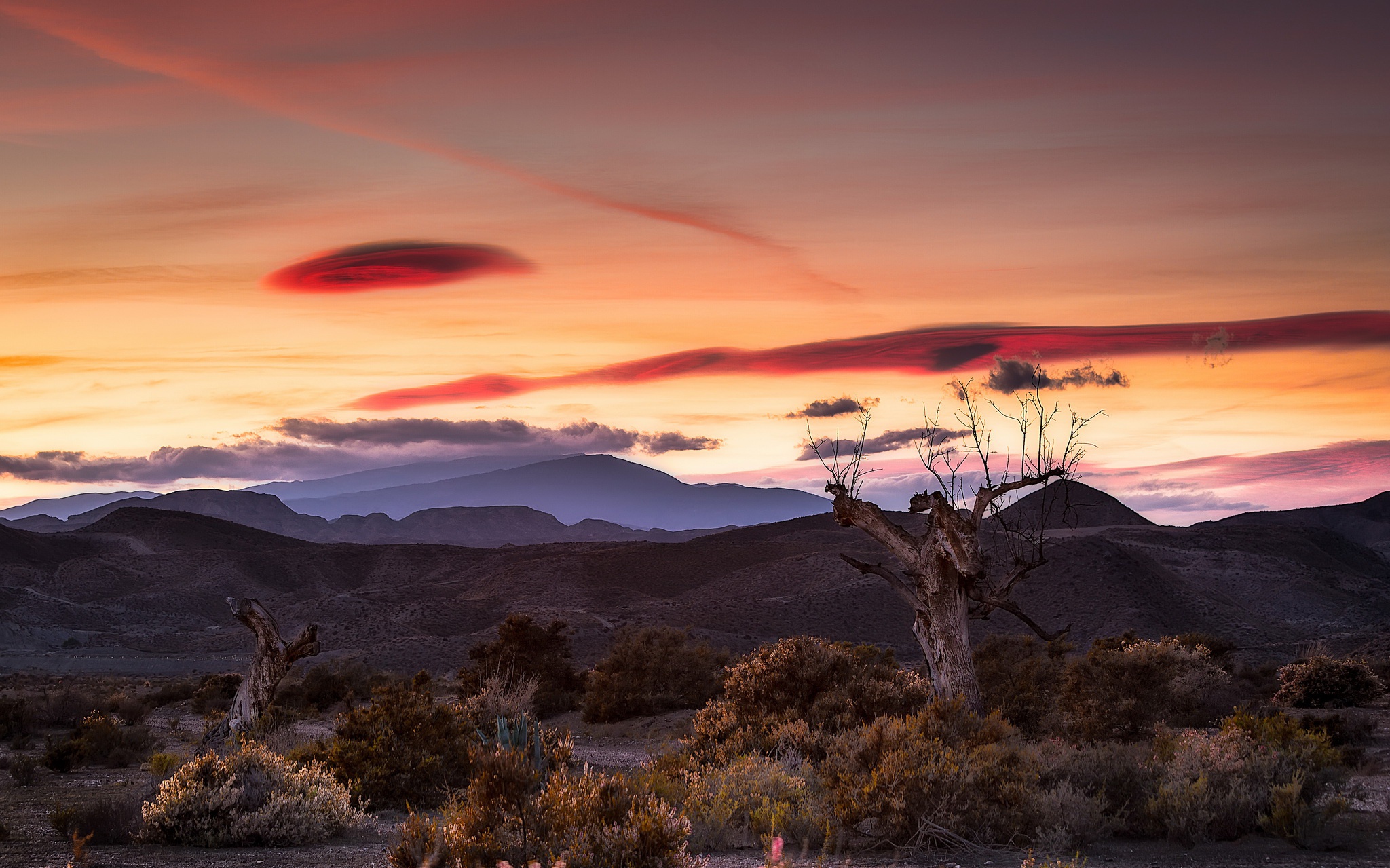 Laden Sie das Landschaft, Natur, Baum, Steppe, Sonnenuntergang, Erde/natur-Bild kostenlos auf Ihren PC-Desktop herunter