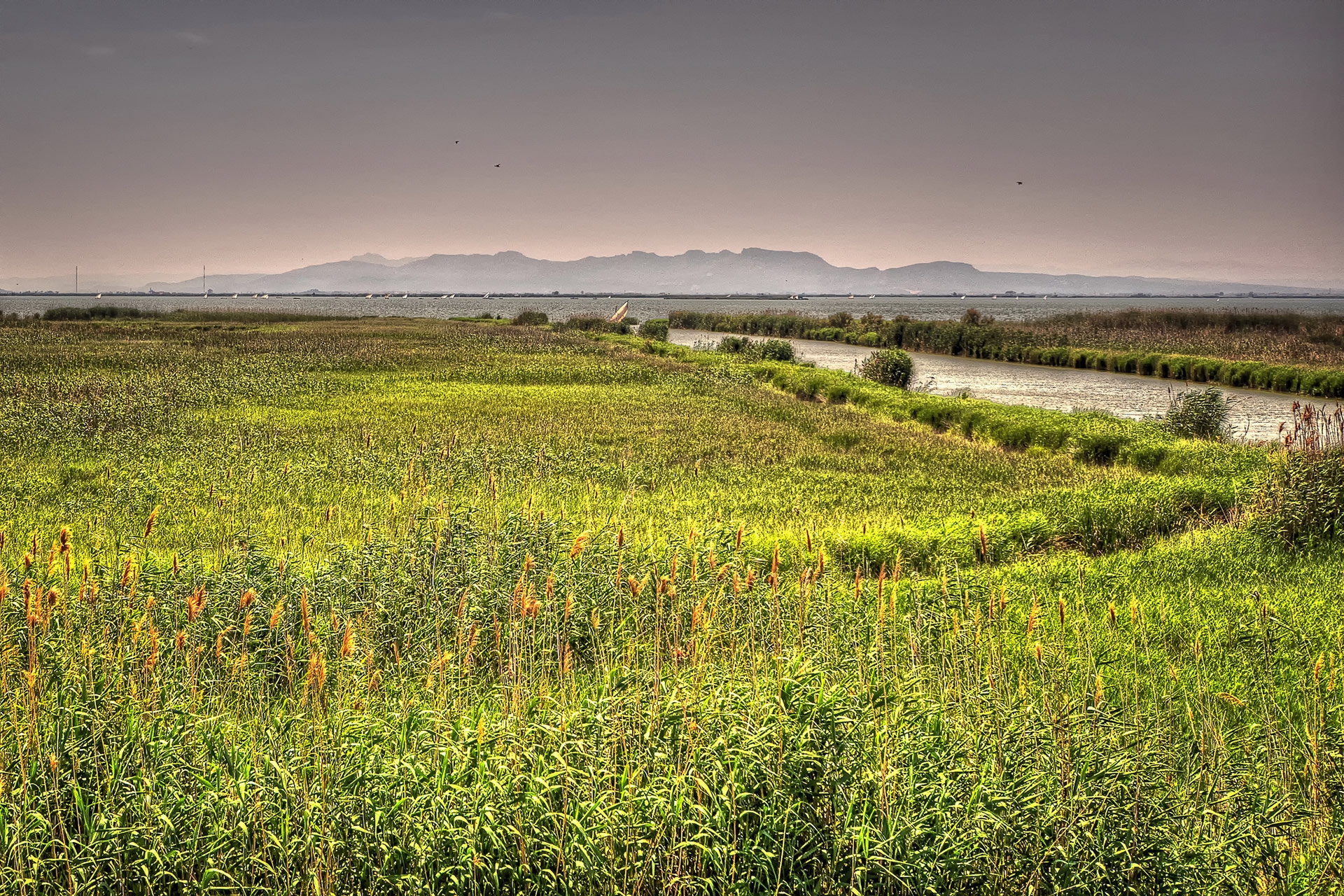 93514壁紙のダウンロード風景, 自然, 川, 草, 湖, バレンシア, スペイン-スクリーンセーバーと写真を無料で