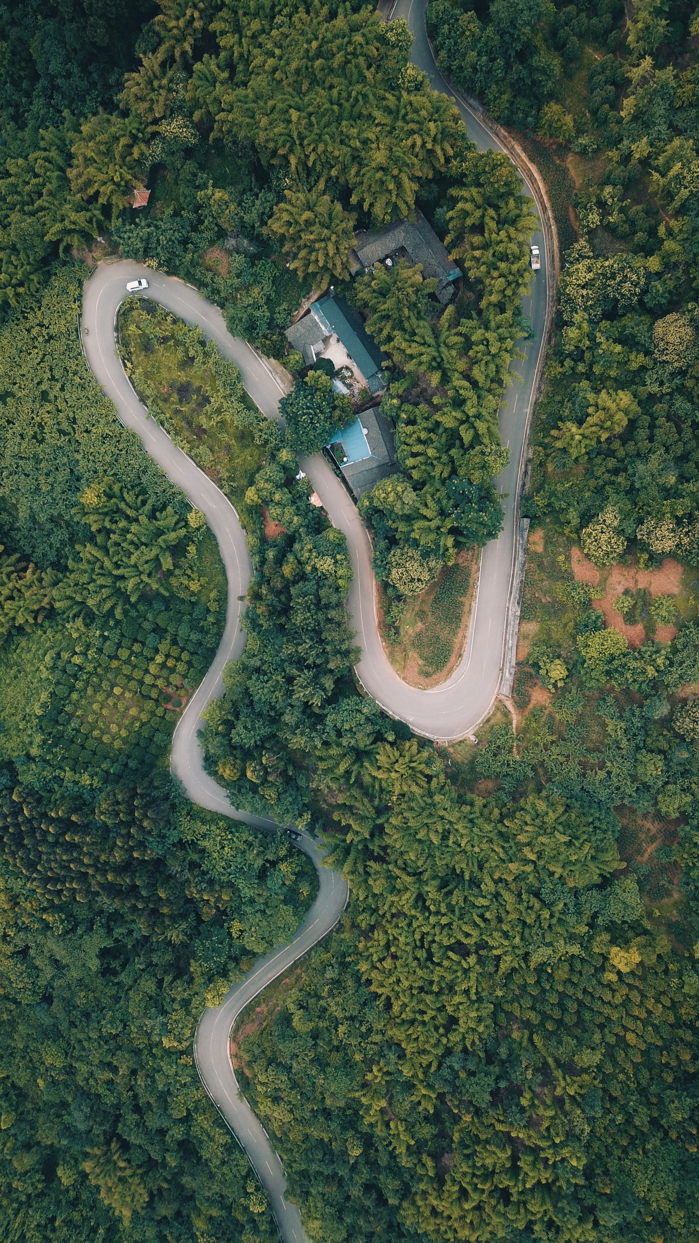 Free download wallpaper View From Above, Road, Forest, Trees, Nature on your PC desktop