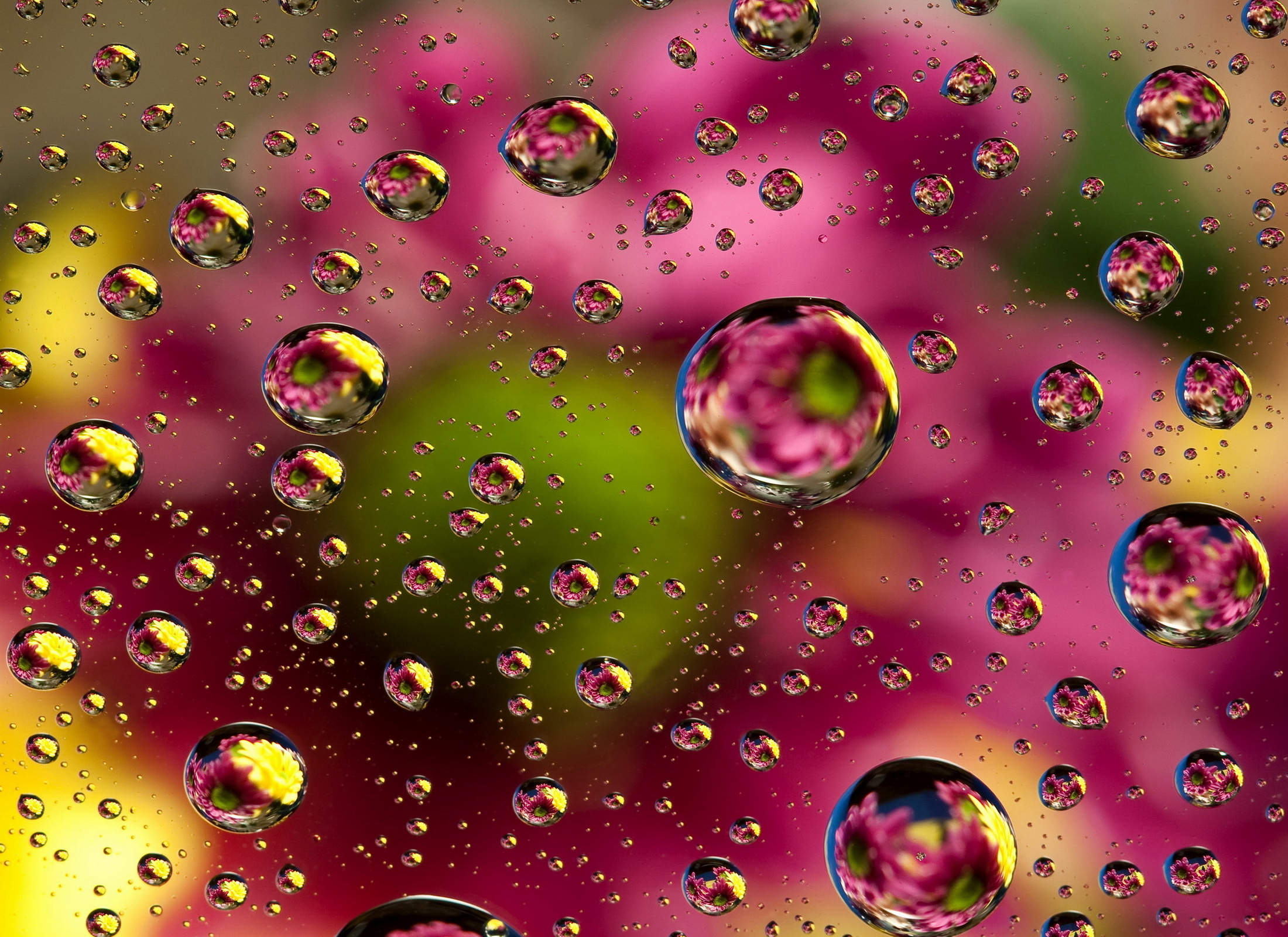 Download mobile wallpaper Abstract, 3D, Bubble, Cgi for free.