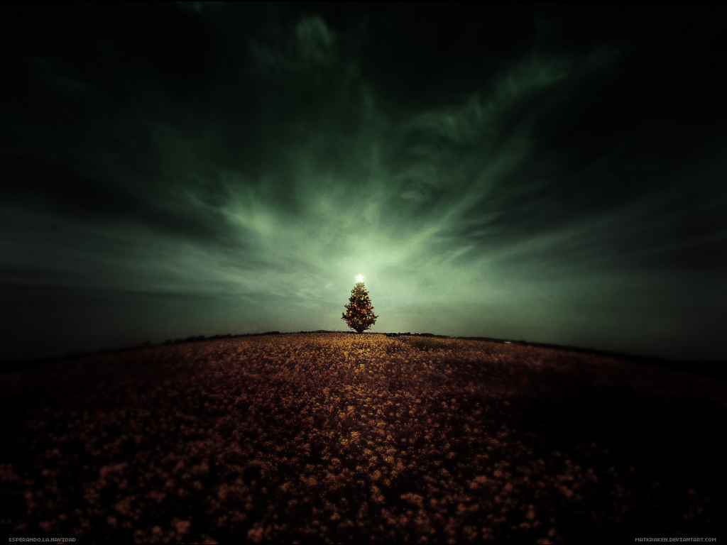 Download mobile wallpaper Tree, Earth for free.