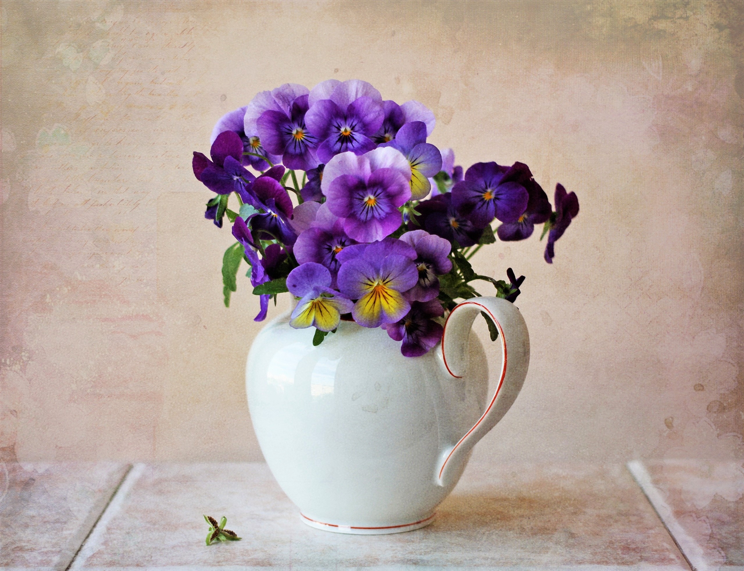 Free download wallpaper Still Life, Flower, Photography, Purple Flower, Pansy, Pitcher on your PC desktop