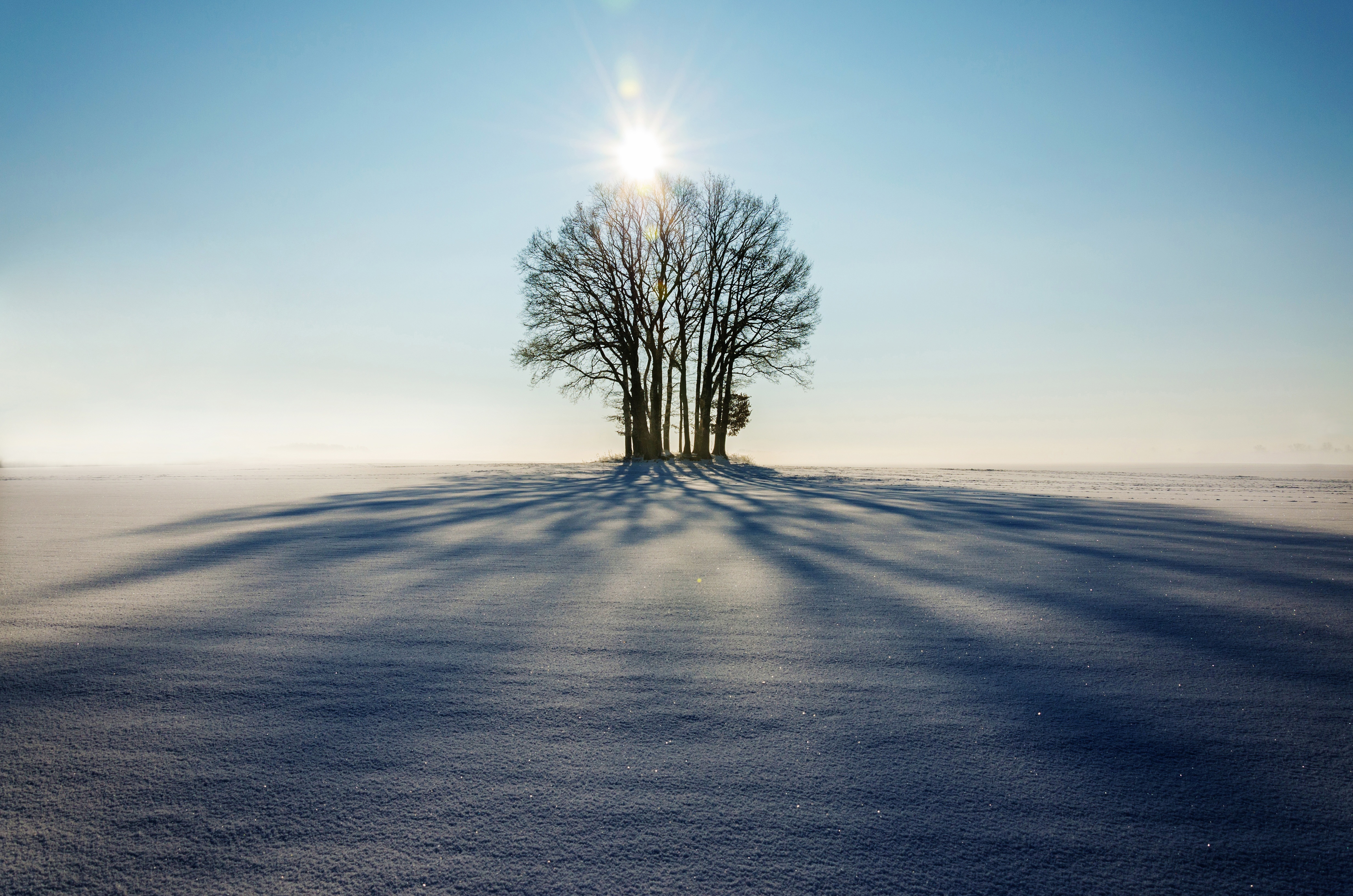 Free download wallpaper Nature, Winter, Snow, Horizon, Tree, Sunlight, Wood on your PC desktop