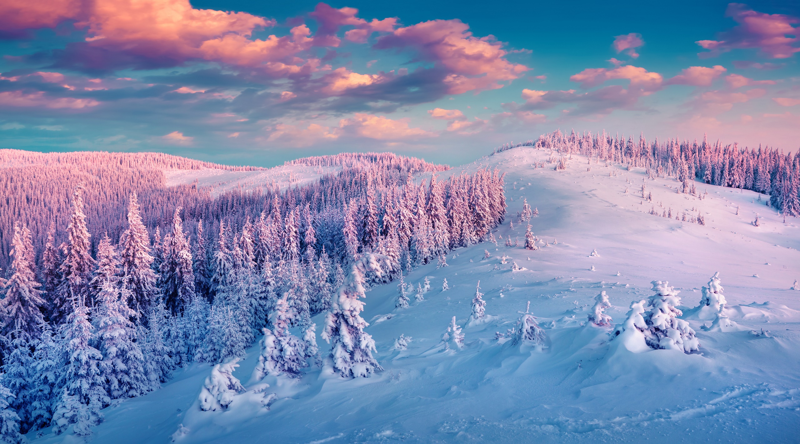 Download mobile wallpaper Winter, Earth for free.