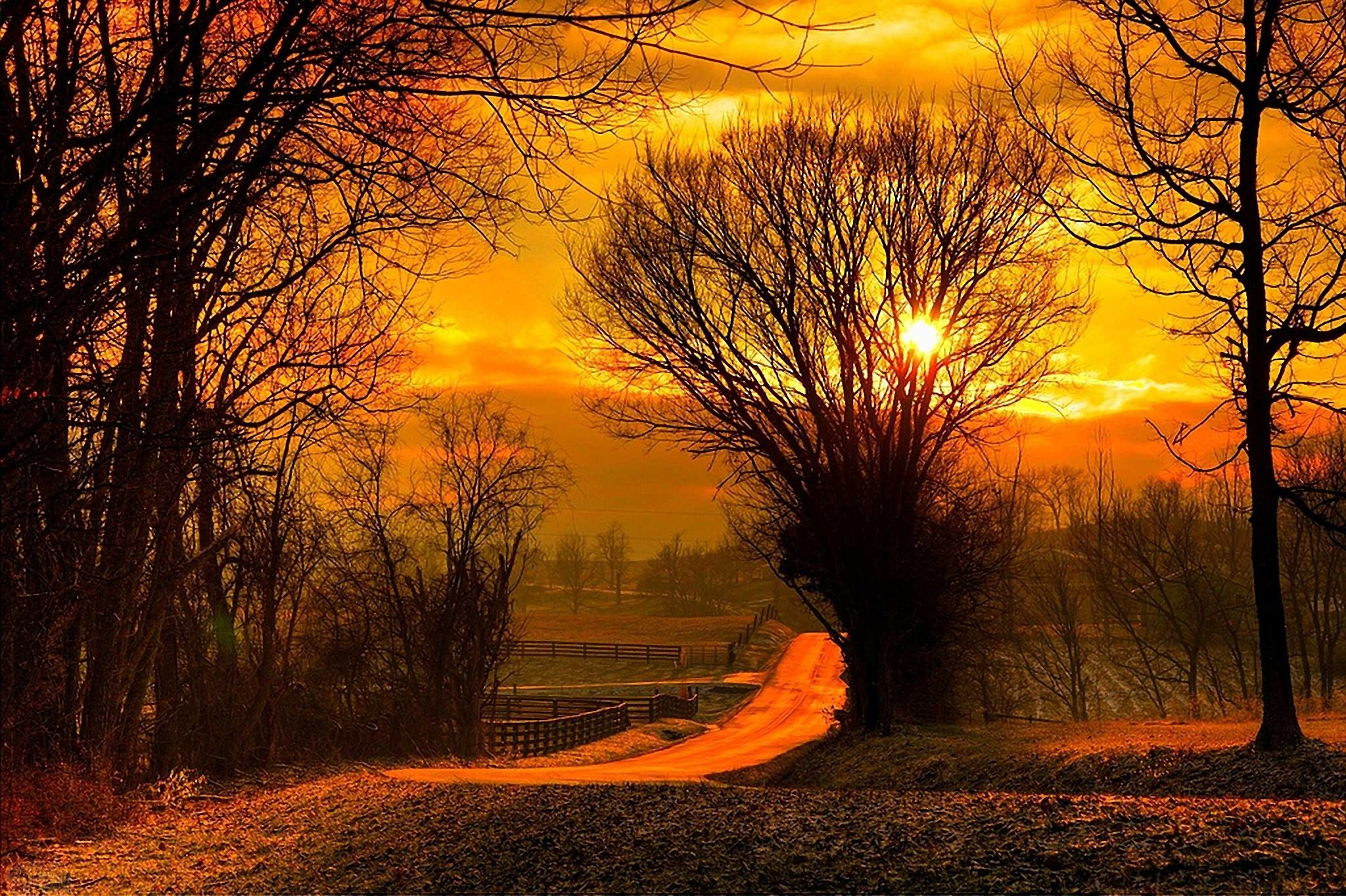 Laden Sie das Straße, Baum, Erde, Zaun, Fotografie, Himmel, Sonnenuntergang, Orange Farbe)-Bild kostenlos auf Ihren PC-Desktop herunter