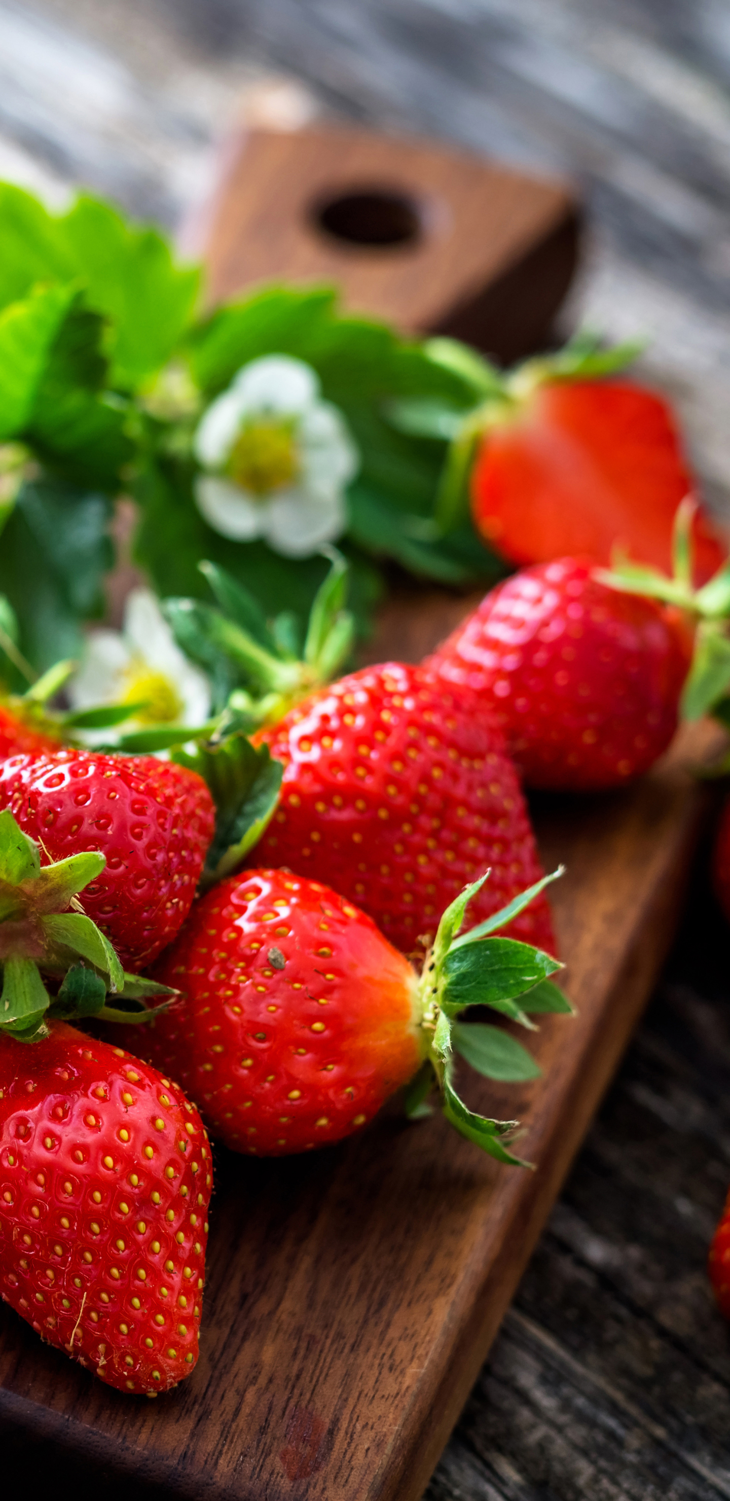 Laden Sie das Obst, Erdbeere, Beere, Frucht, Nahrungsmittel, Stillleben, Früchte-Bild kostenlos auf Ihren PC-Desktop herunter