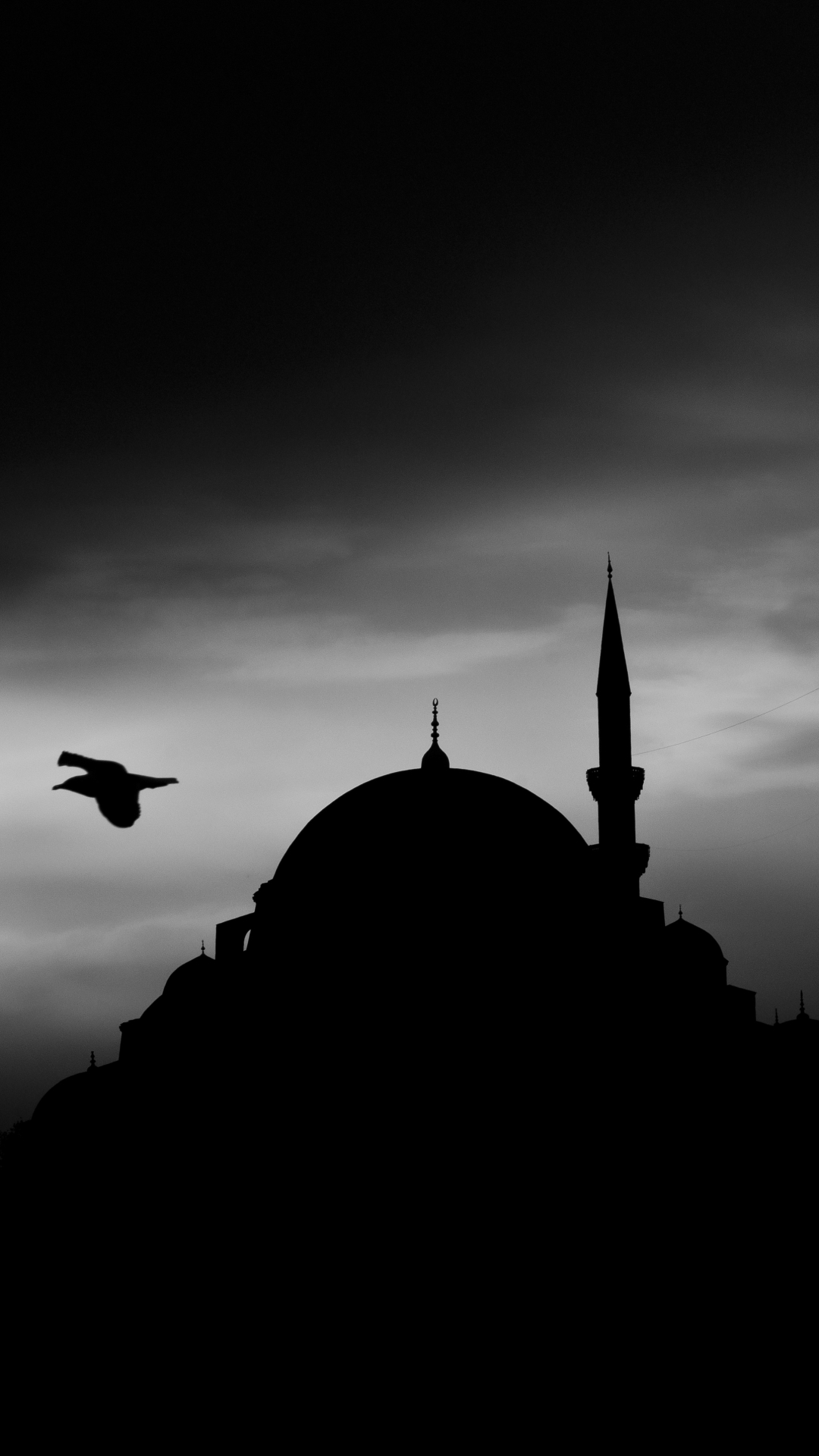 1118762壁紙のダウンロード宗教的, スレイマニエ・モスク, シルエット, イスタンブール, 夜, モスク-スクリーンセーバーと写真を無料で