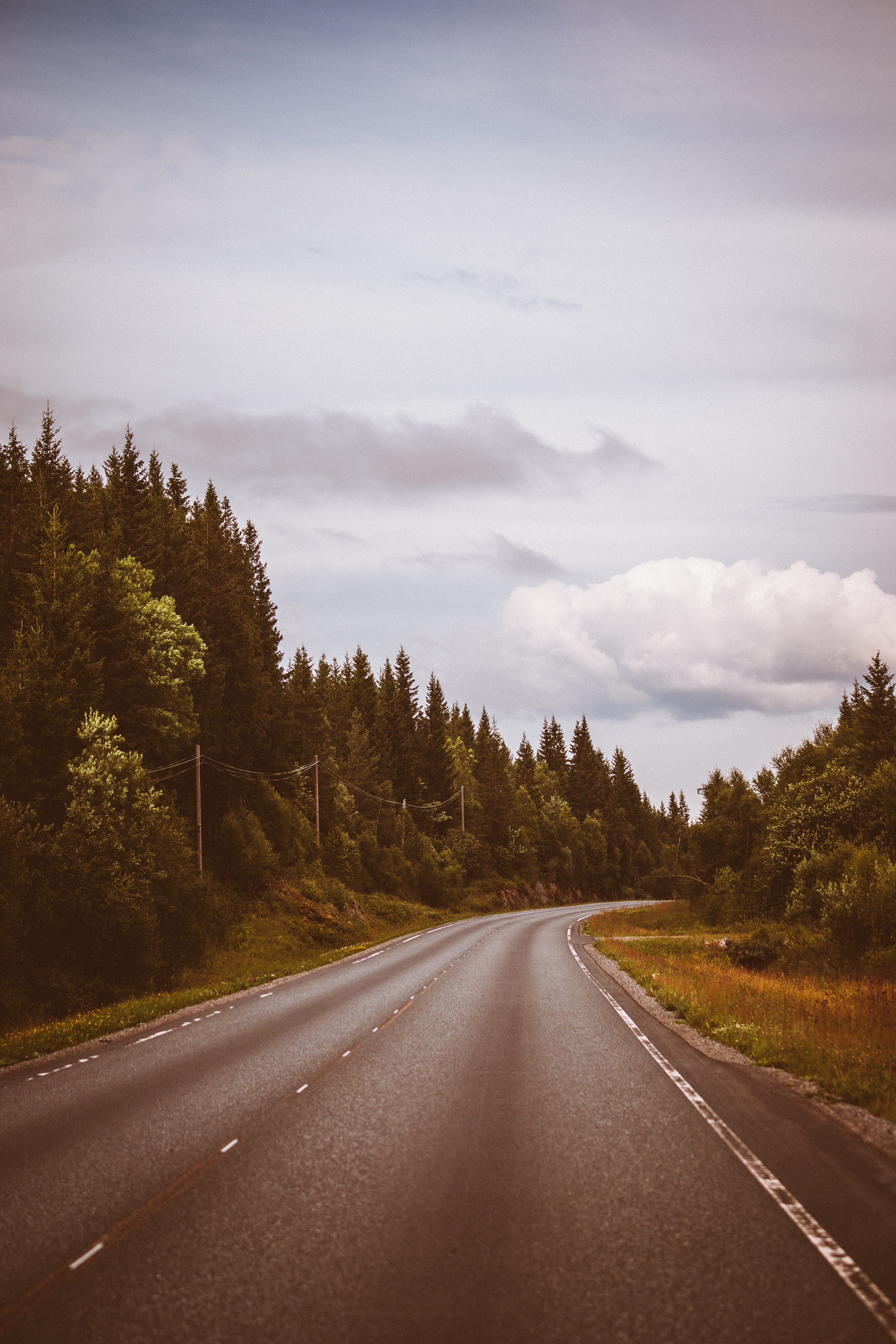 Download mobile wallpaper Dahl, Distance, Trees, Road, Markup, Forest, Nature, Sky for free.