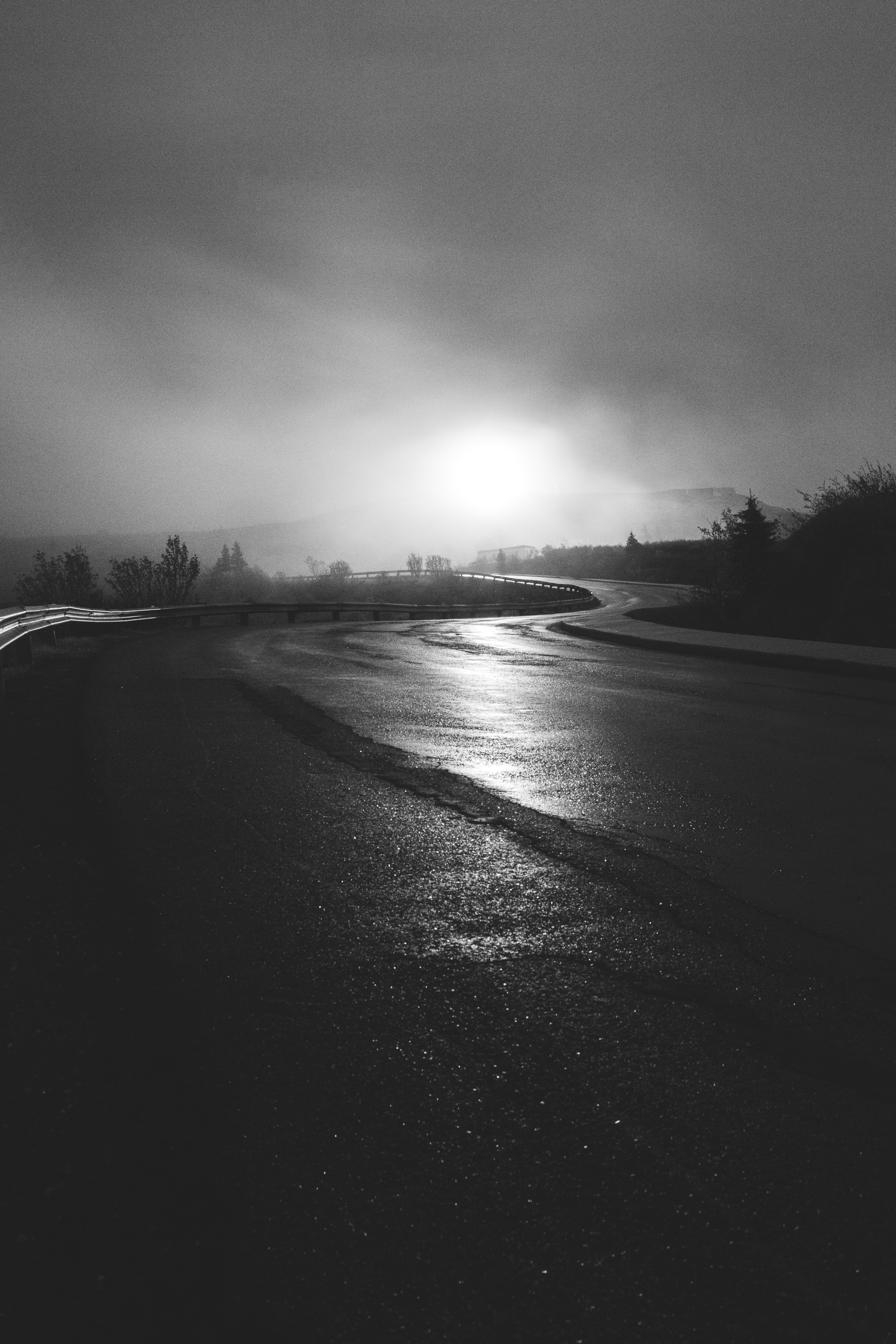 nature, road, fog, bw, chb, winding, sinuous