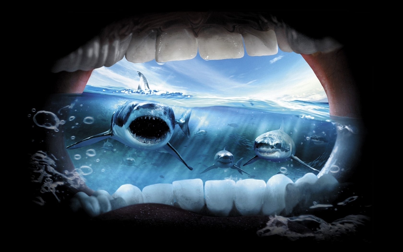 213363 télécharger l'image les requins, animaux, requin - fonds d'écran et économiseurs d'écran gratuits