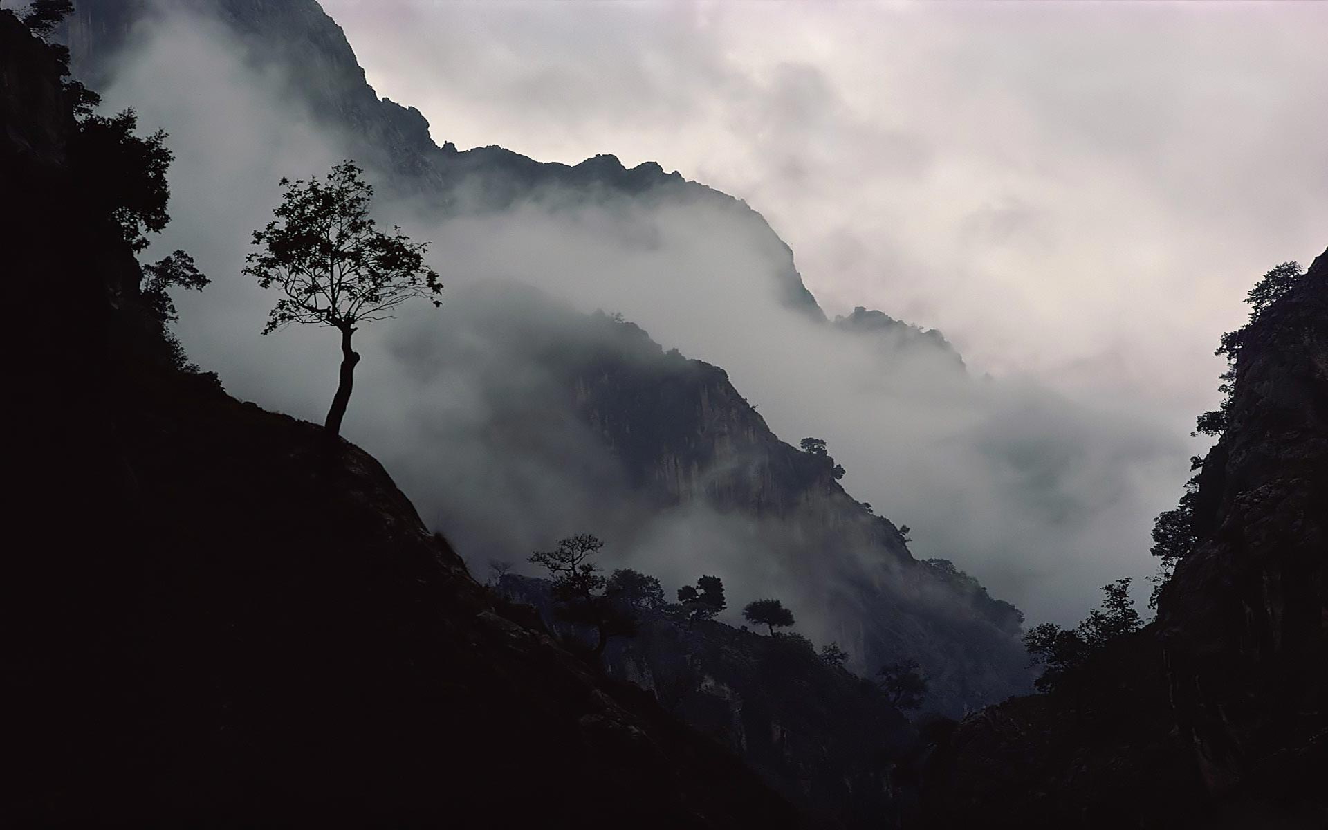 Baixar papel de parede para celular de Neblina, Terra/natureza gratuito.