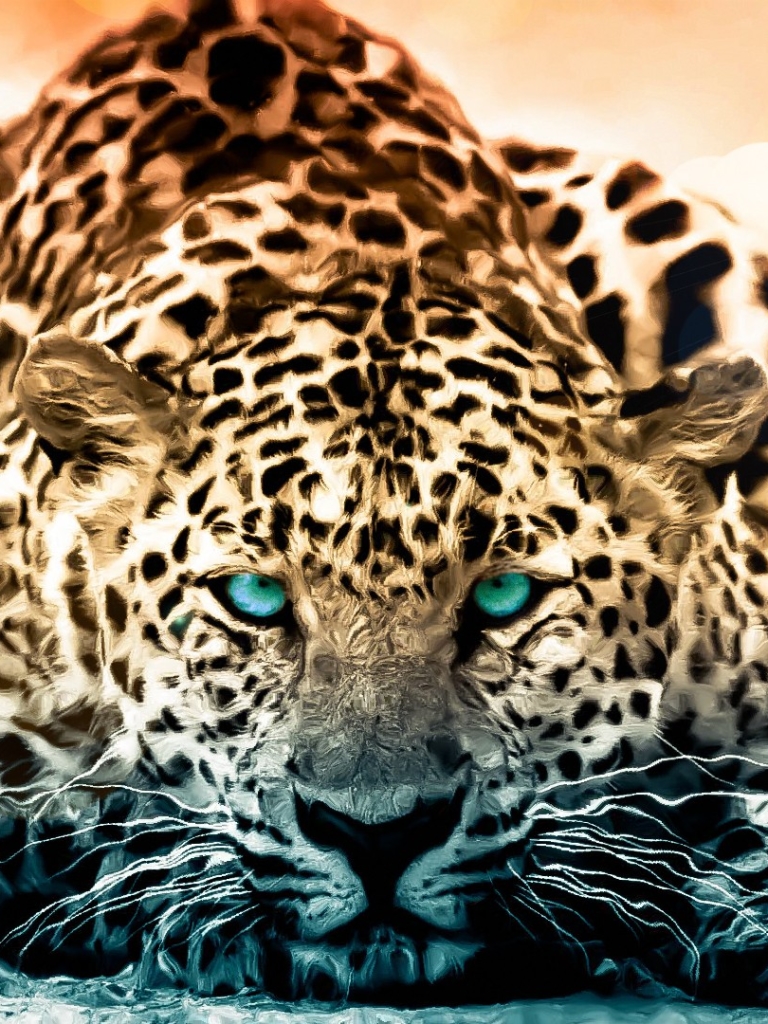 Handy-Wallpaper Tiere, Katzen, Leopard kostenlos herunterladen.