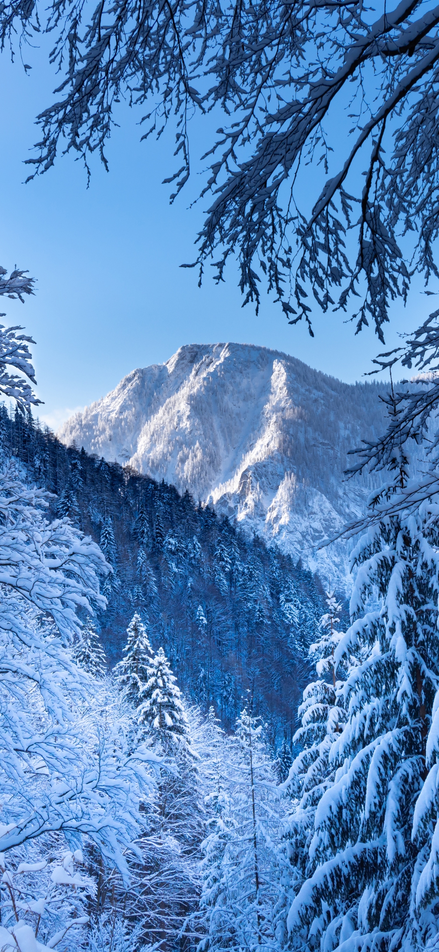 Download mobile wallpaper Winter, Mountain, Austria, Alps, Earth for free.
