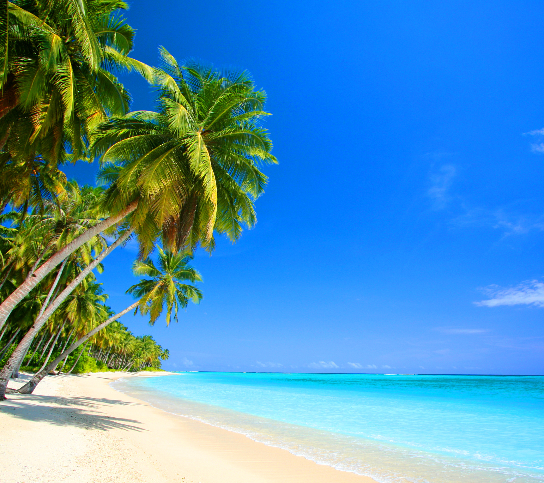 Téléchargez gratuitement l'image Plage, Terre/nature sur le bureau de votre PC