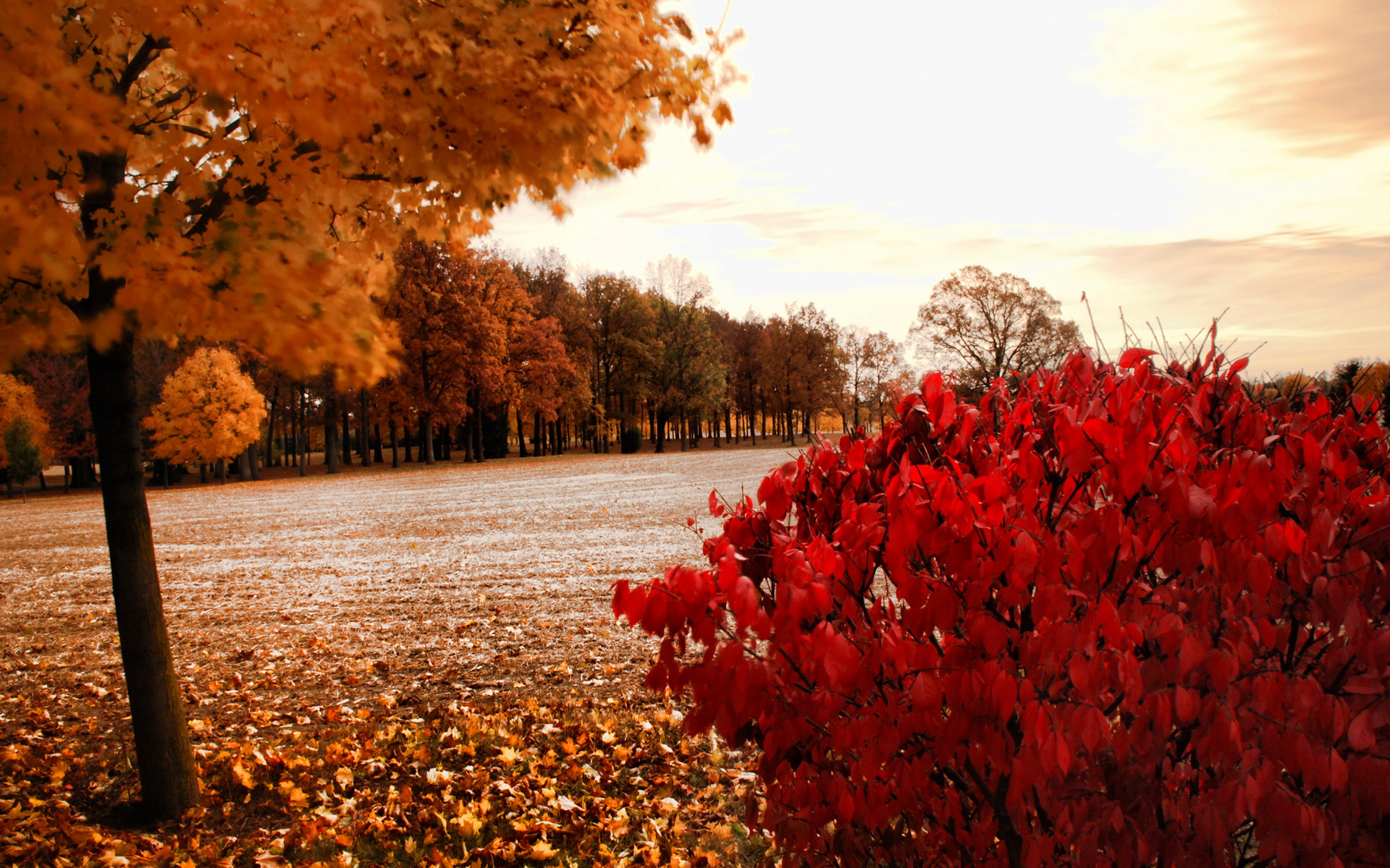 Téléchargez gratuitement l'image Automne, Terre/nature sur le bureau de votre PC