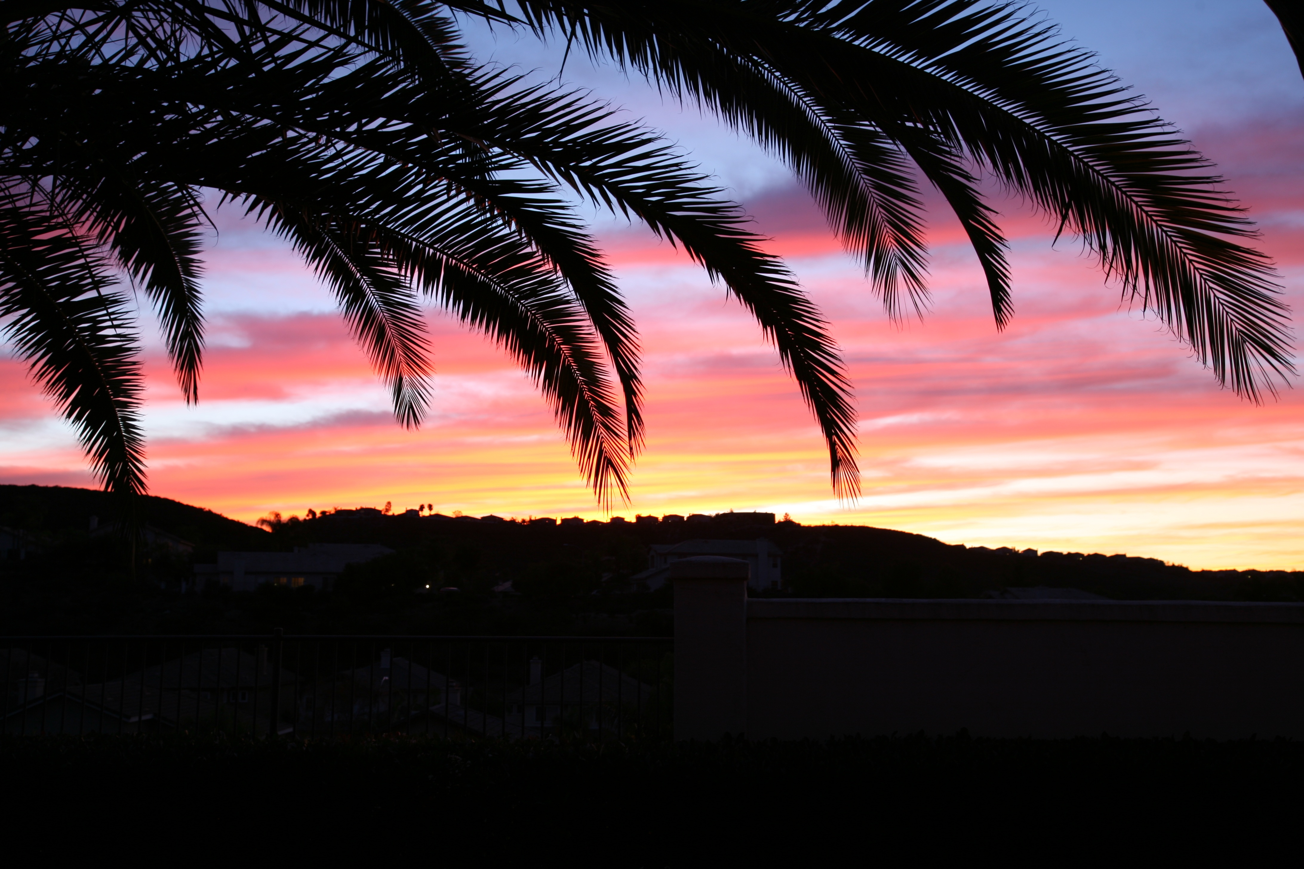 Laden Sie das Sky, Palm, Sunset, Palme, Dunkel-Bild kostenlos auf Ihren PC-Desktop herunter