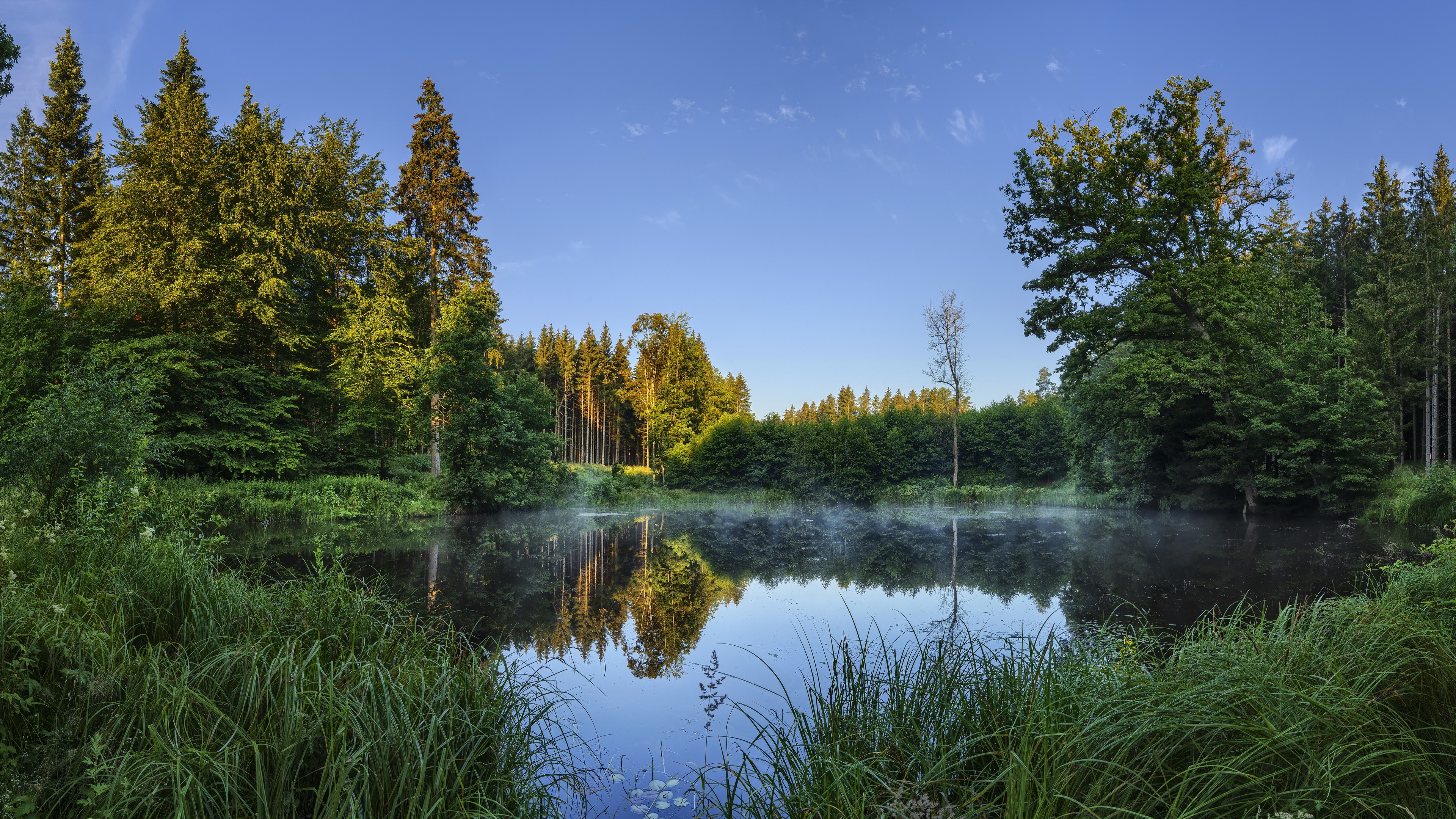 Laden Sie das Sommer, Seen, See, Wald, Erde/natur-Bild kostenlos auf Ihren PC-Desktop herunter