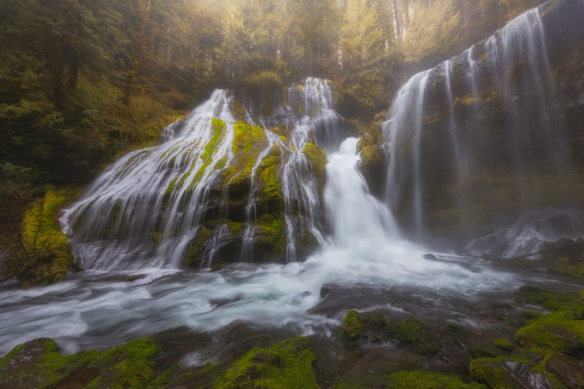 Laden Sie das Natur, Wasserfälle, Wasserfall, Wald, Nebel, Schaum, Moos, Erde/natur-Bild kostenlos auf Ihren PC-Desktop herunter