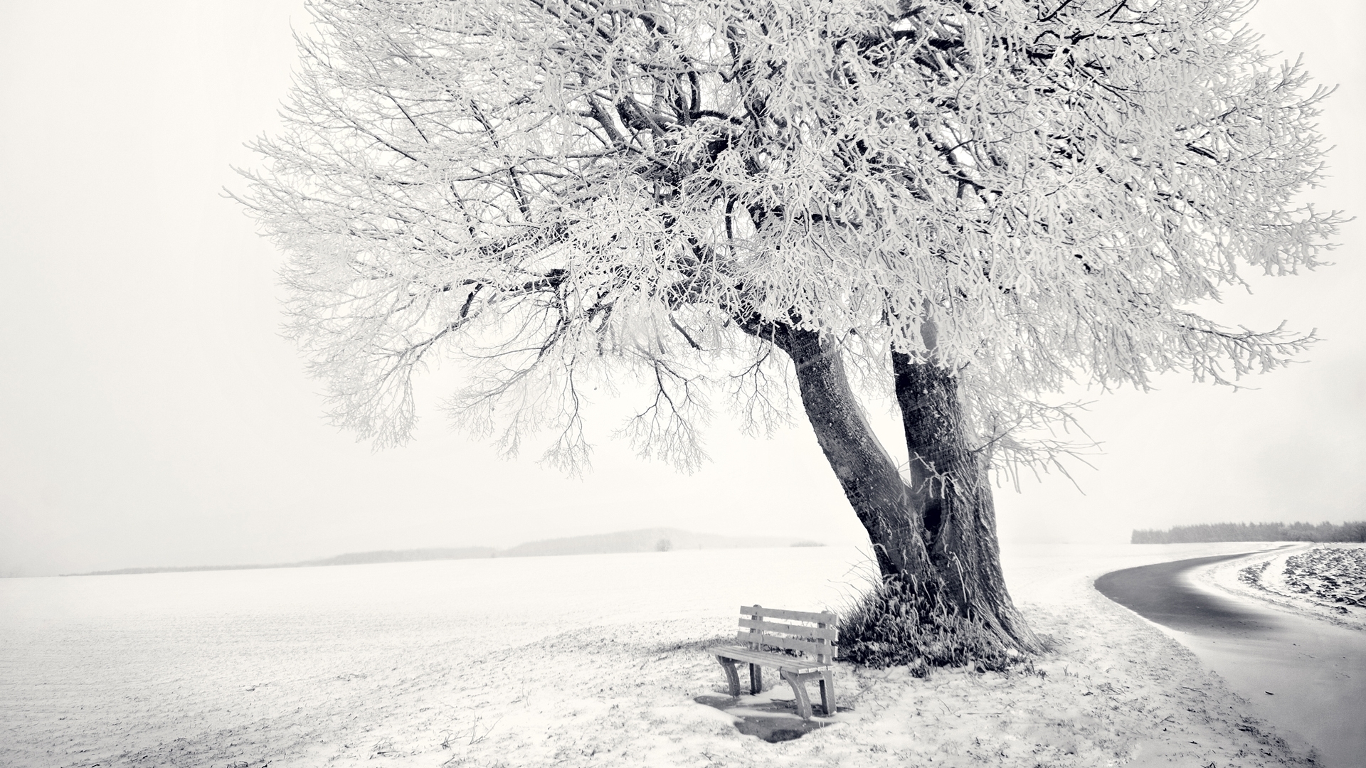 PC Wallpapers landscape, winter, trees, objects, snow, gray