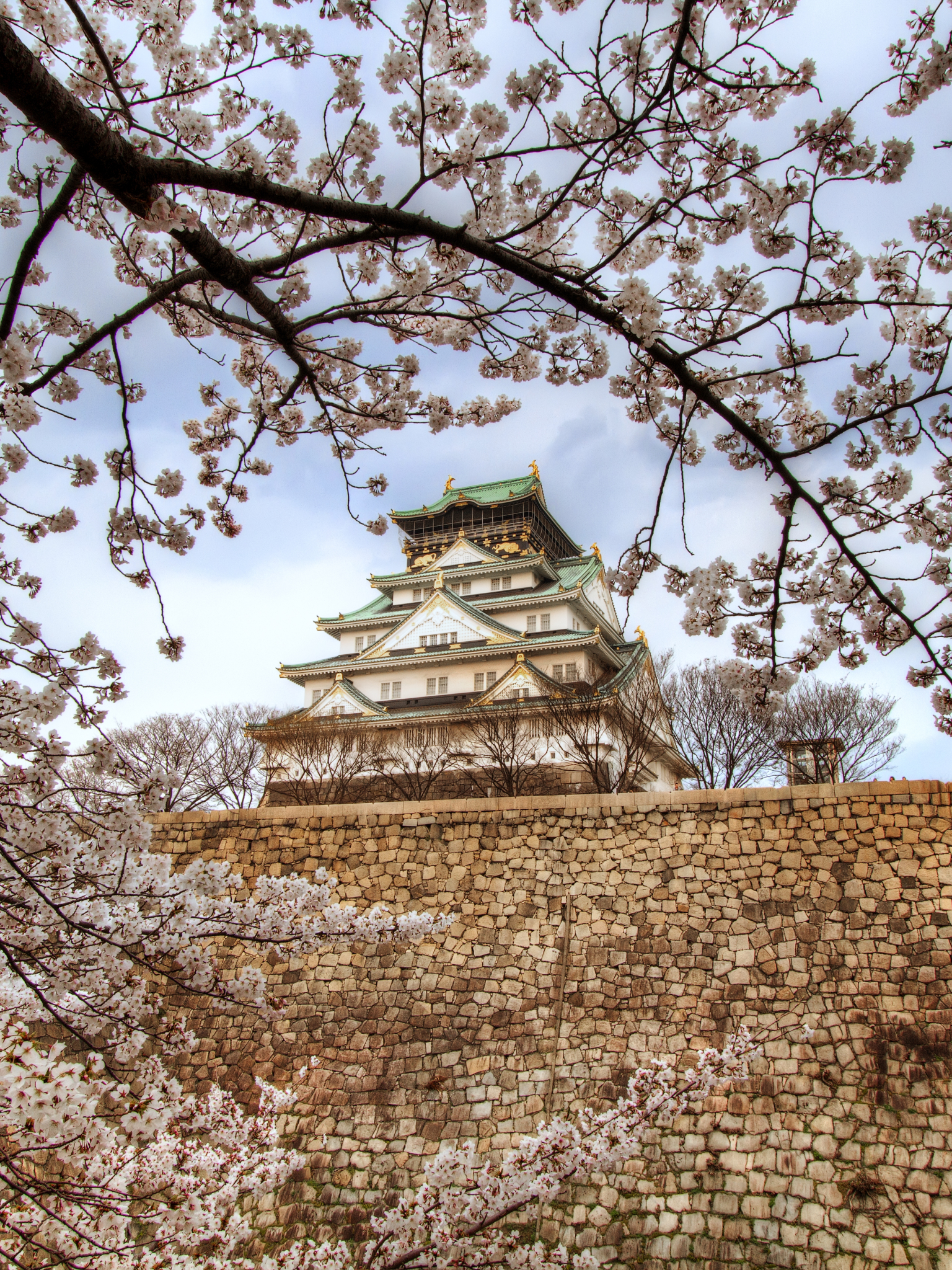 Handy-Wallpaper Schlösser, Sakura, Japan, Frühling, Kirschblüte, Osaka, Menschengemacht, Osaka Schloss kostenlos herunterladen.