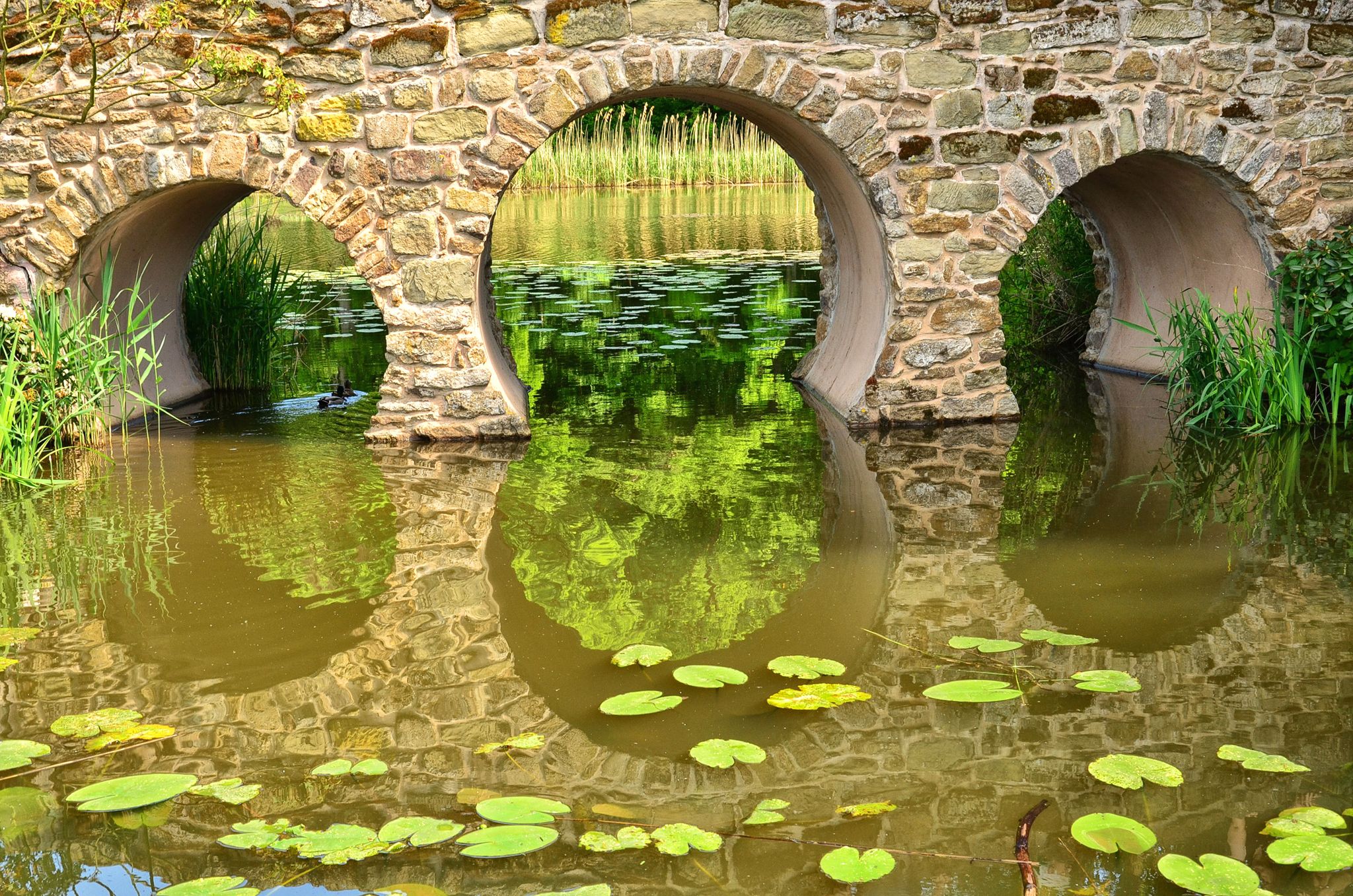 Download mobile wallpaper Bridges, Reflection, Bridge, Arch, Pond, Man Made for free.