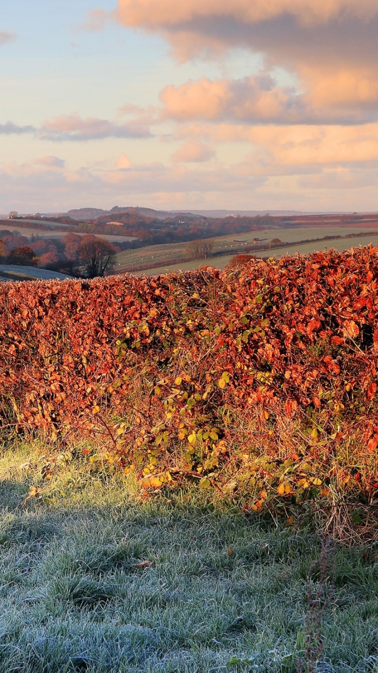 Handy-Wallpaper Erde/natur, Landschaft kostenlos herunterladen.