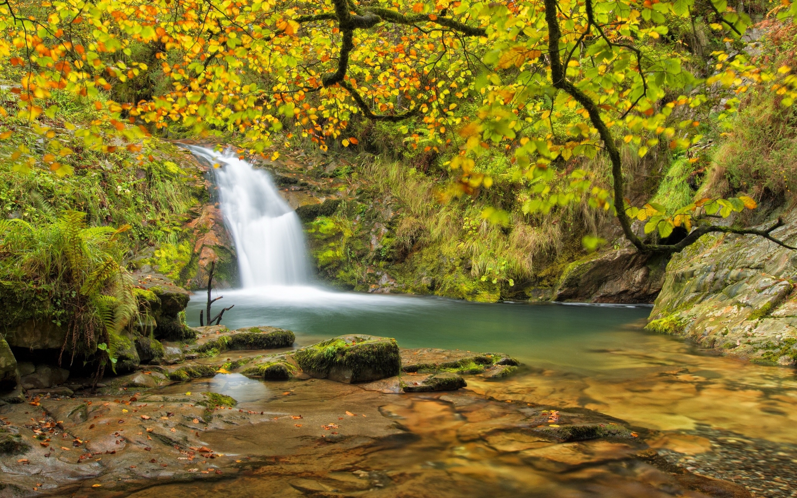 Скачать картинку Осень, Водопады, Водопад, Лес, Земля/природа в телефон бесплатно.