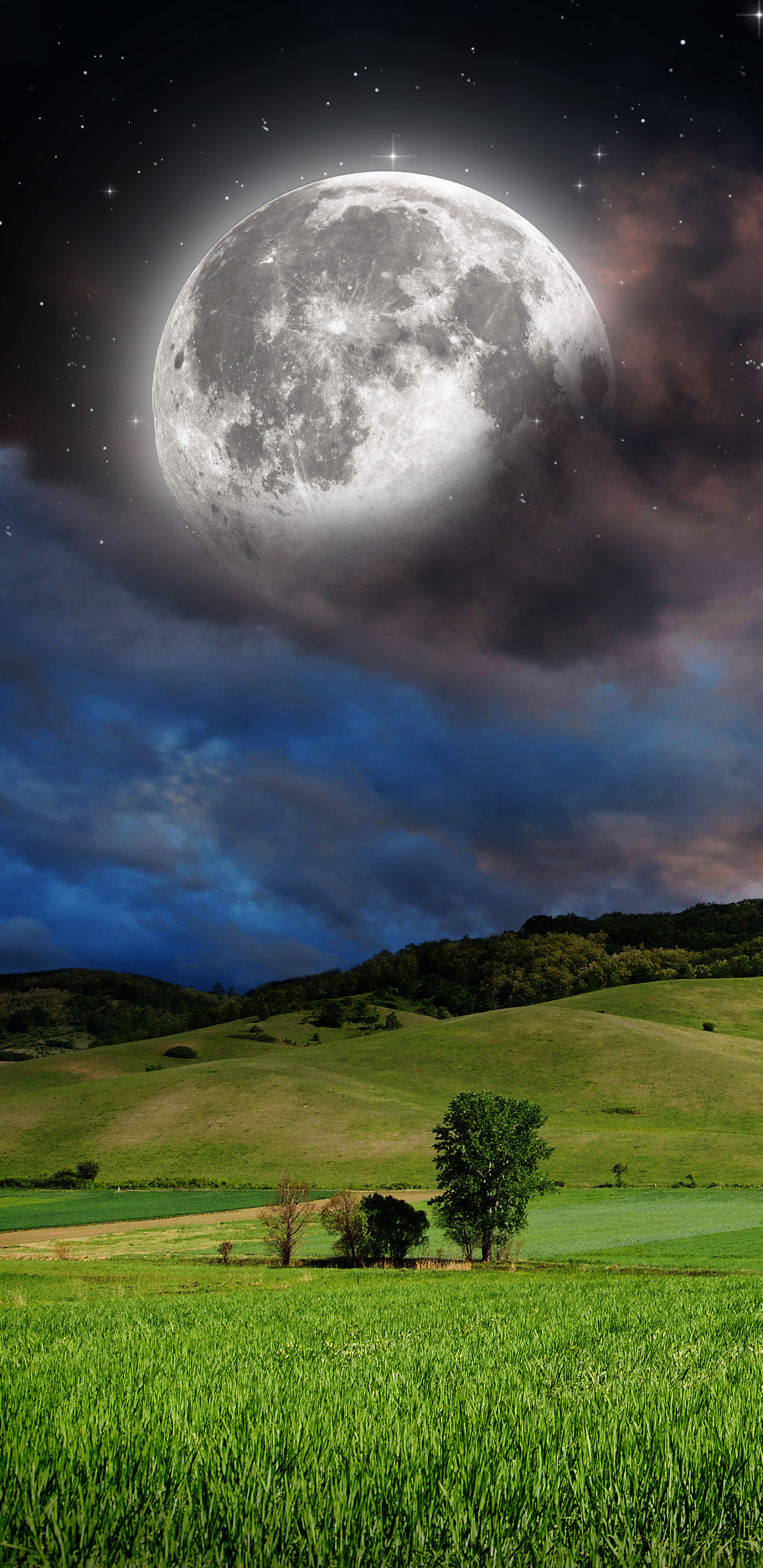 Download mobile wallpaper Sky, Stars, Moon, Starry Sky, Earth, Field, Meadow for free.