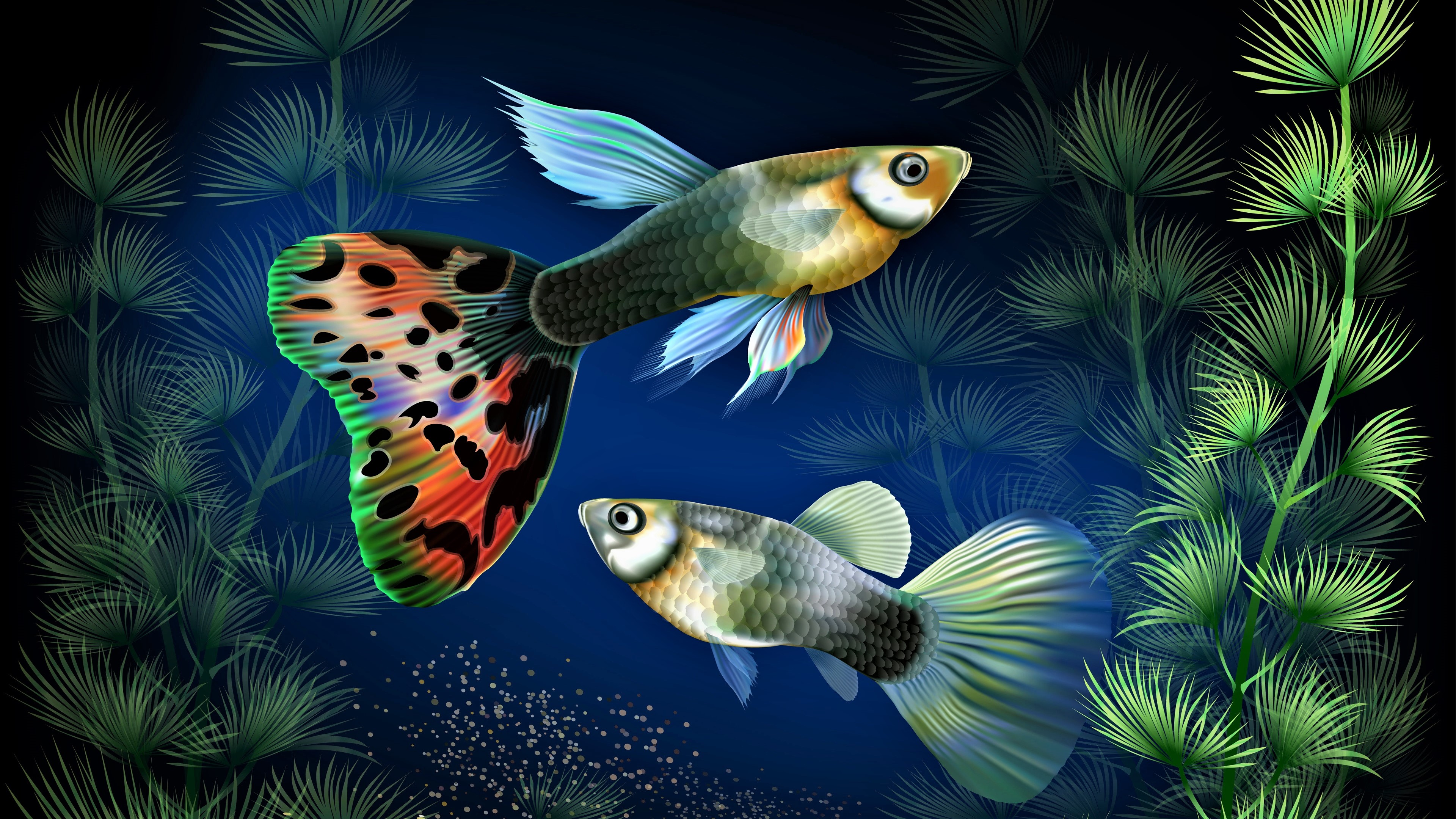 Download mobile wallpaper Fishes, Plant, Animal, Colorful, Fish for free.