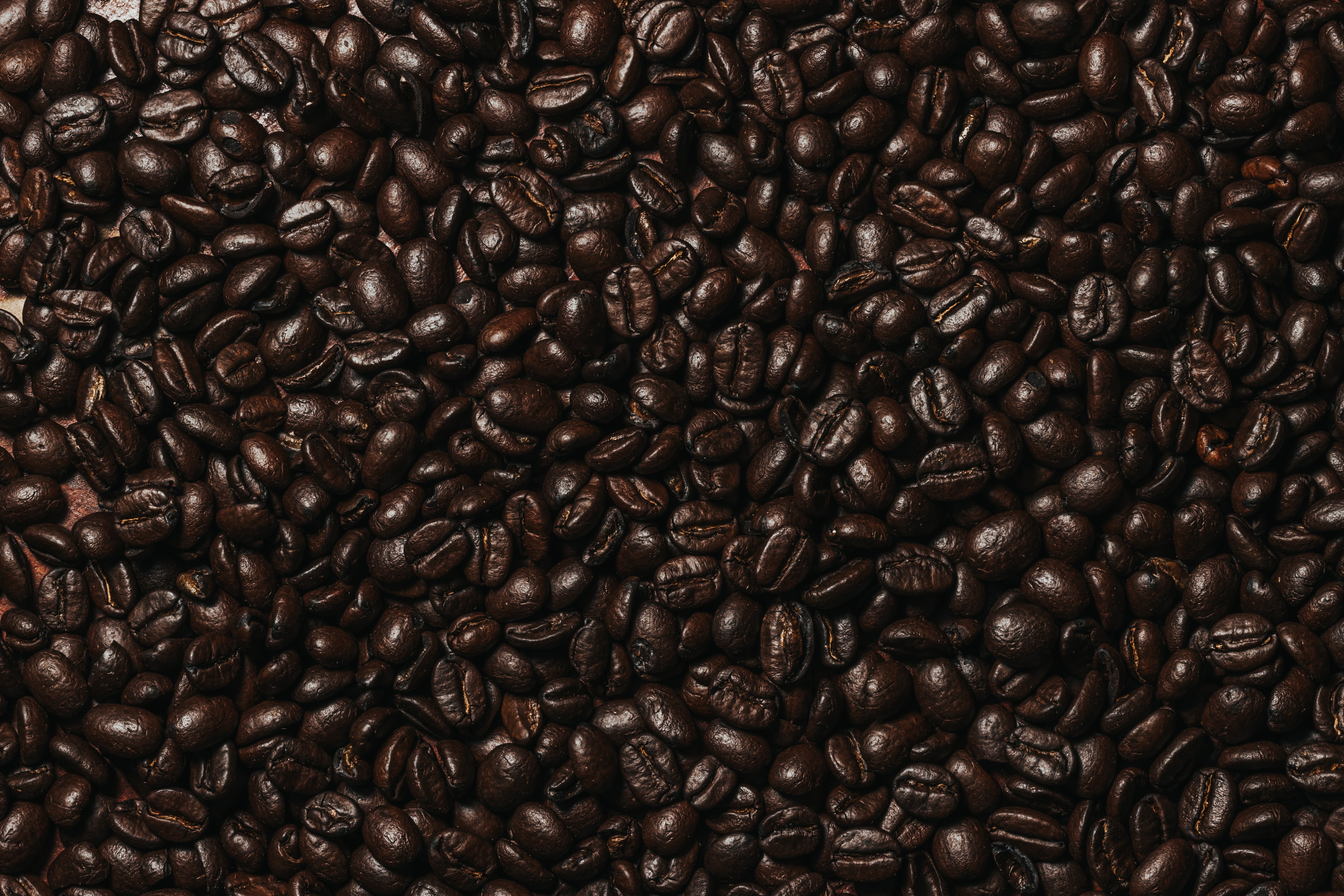 coffee beans, grain, grains, coffee, macro, dark, brown HD wallpaper