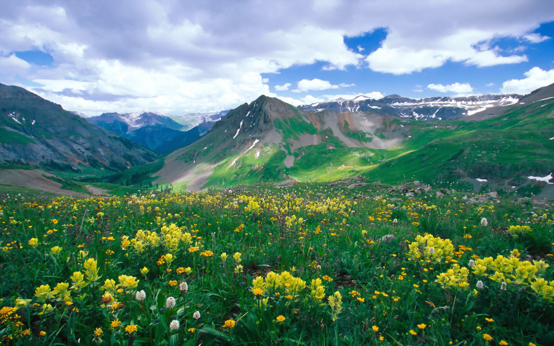 Скачать обои бесплатно Пейзаж, Гора, Цветок, Поле, Долина, Желтый Цветок, Земля/природа картинка на рабочий стол ПК
