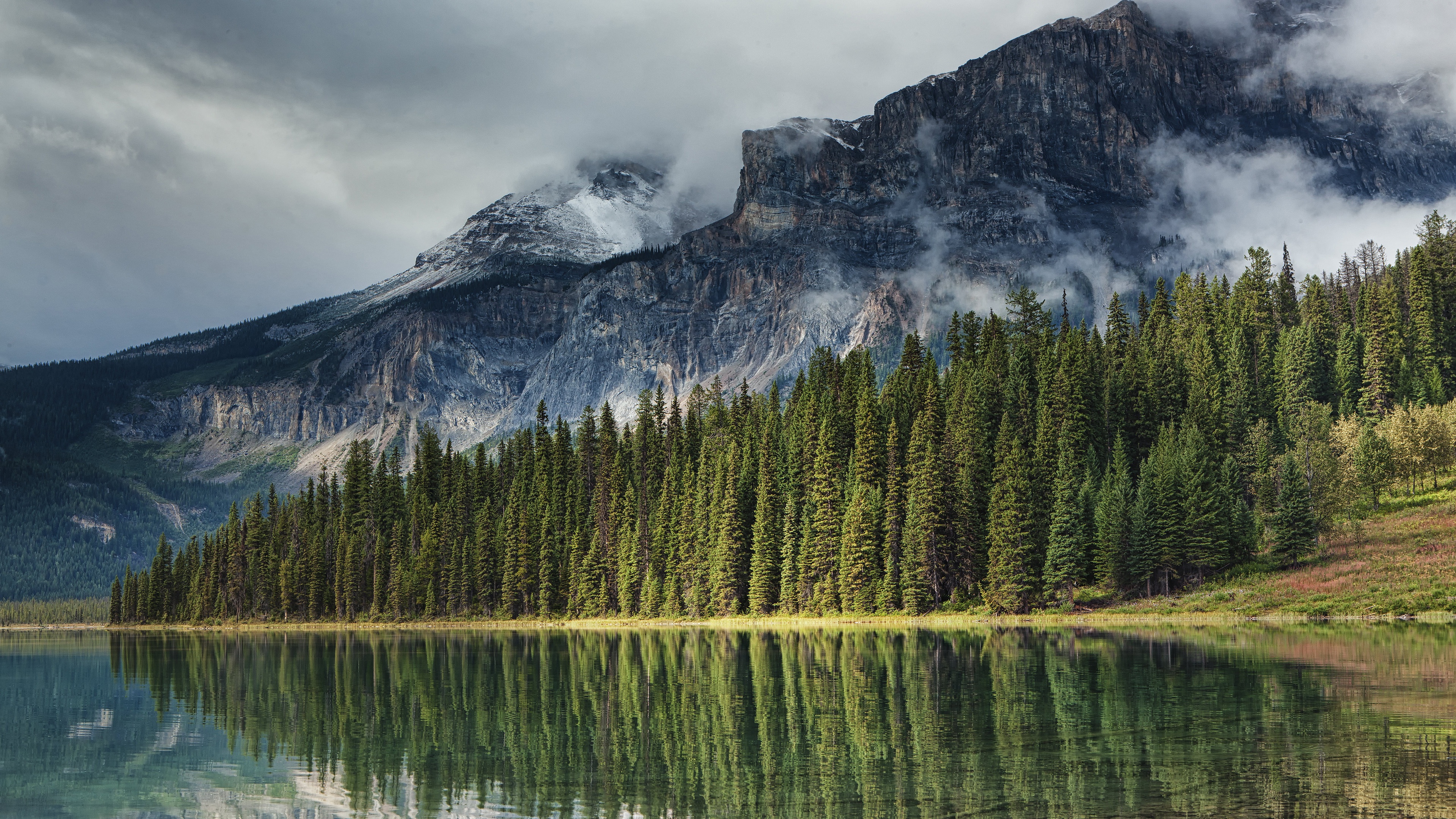 494246壁紙のダウンロード地球, 山, カナダ, モミの木, 湖, 反射, 山岳-スクリーンセーバーと写真を無料で