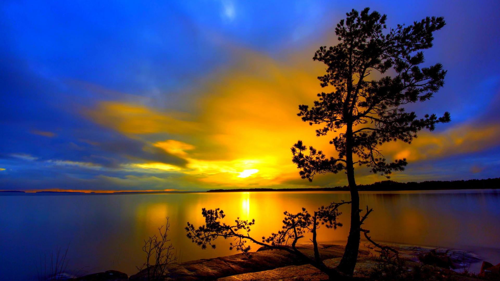 Download mobile wallpaper Sunset, Sky, Lake, Silhouette, Tree, Earth for free.