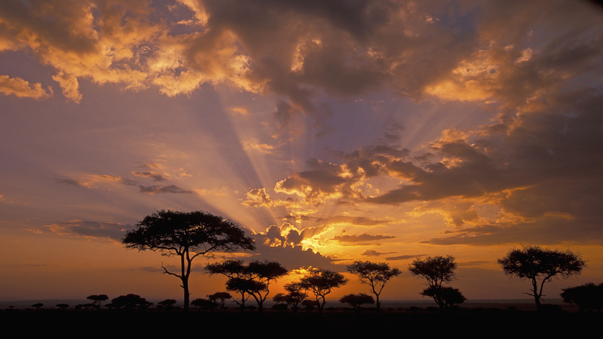 Free download wallpaper Sunset, Sky, Tree, Earth, Sunlight, Cloud, Africa, Sunbeam, Sunshine on your PC desktop