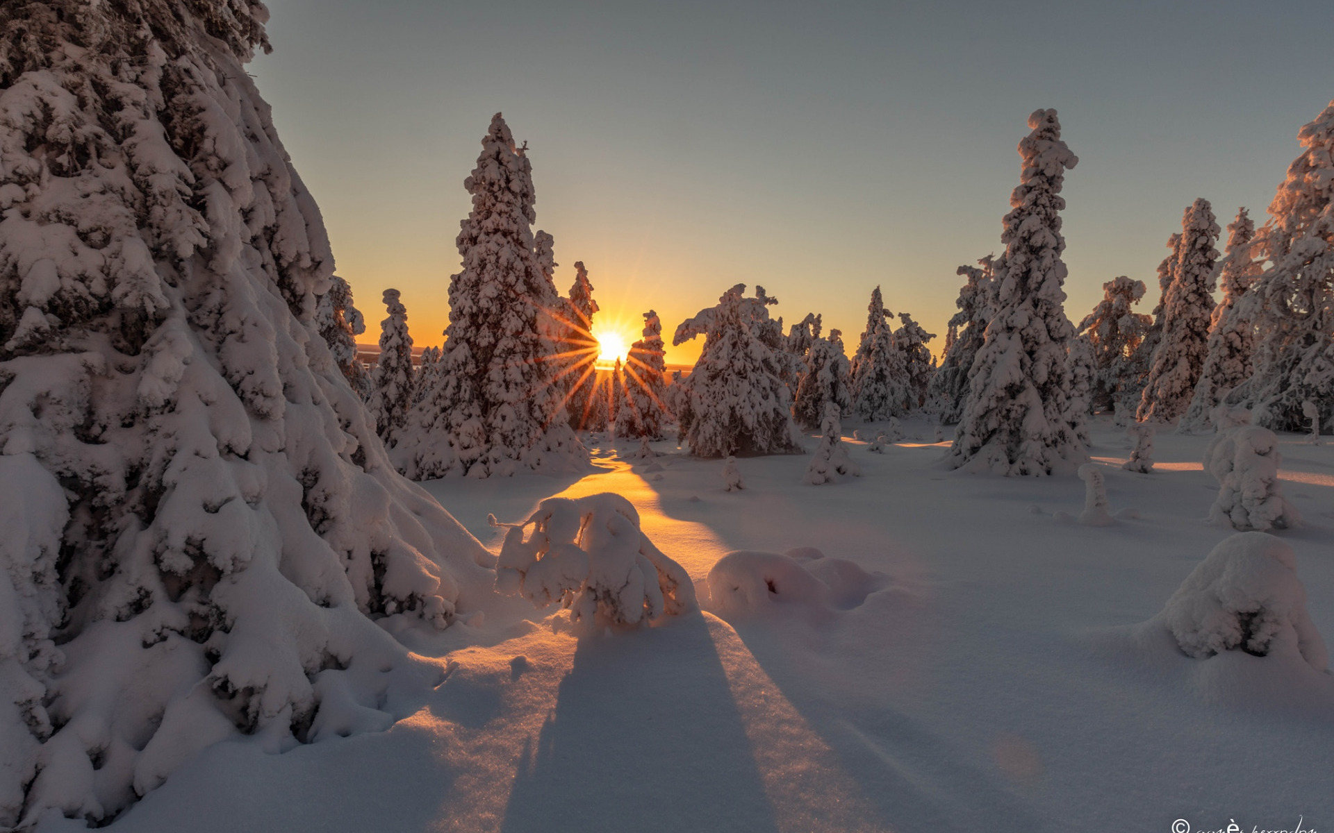 Téléchargez gratuitement l'image Hiver, Terre/nature sur le bureau de votre PC