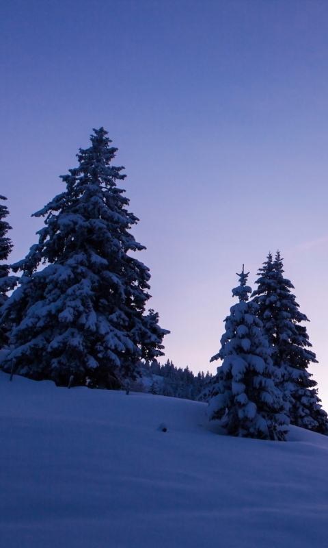 Téléchargez des papiers peints mobile Hiver, Terre/nature gratuitement.