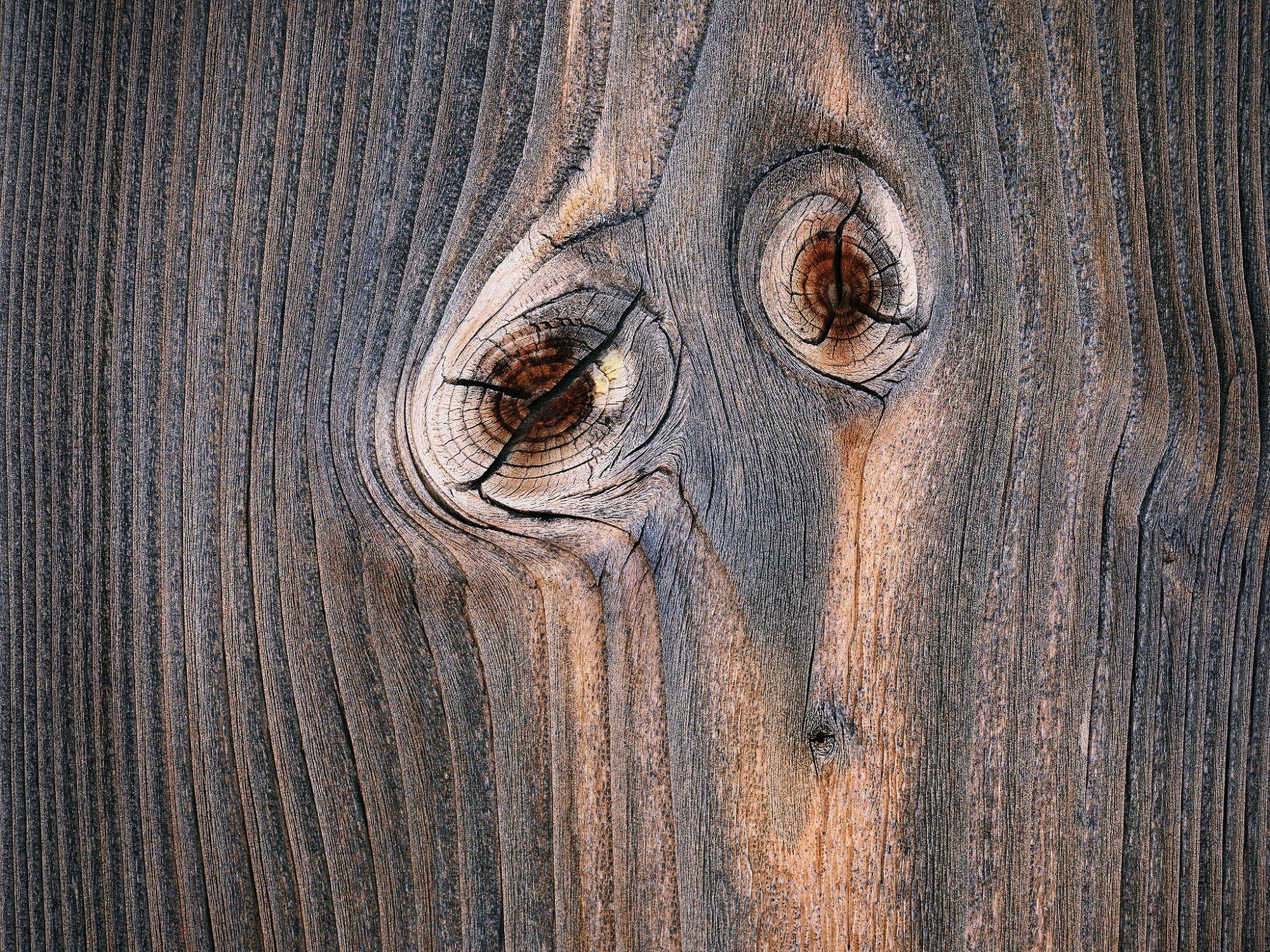 Téléchargez gratuitement l'image Bois, Terre/nature sur le bureau de votre PC