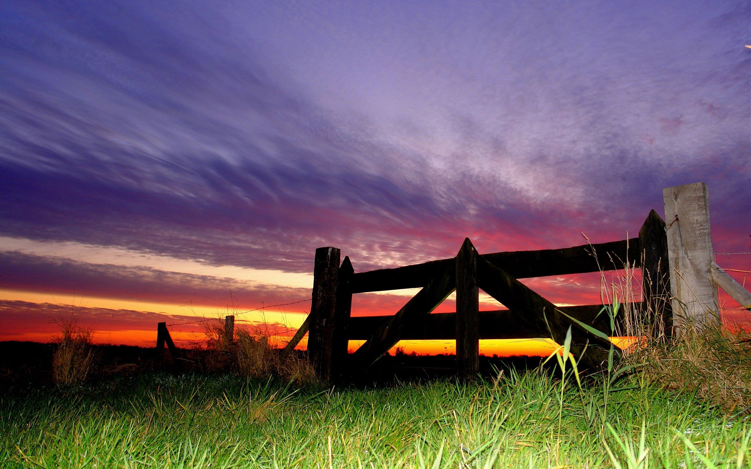 Download mobile wallpaper Fence, Evening, Grass, Sky, Nature for free.