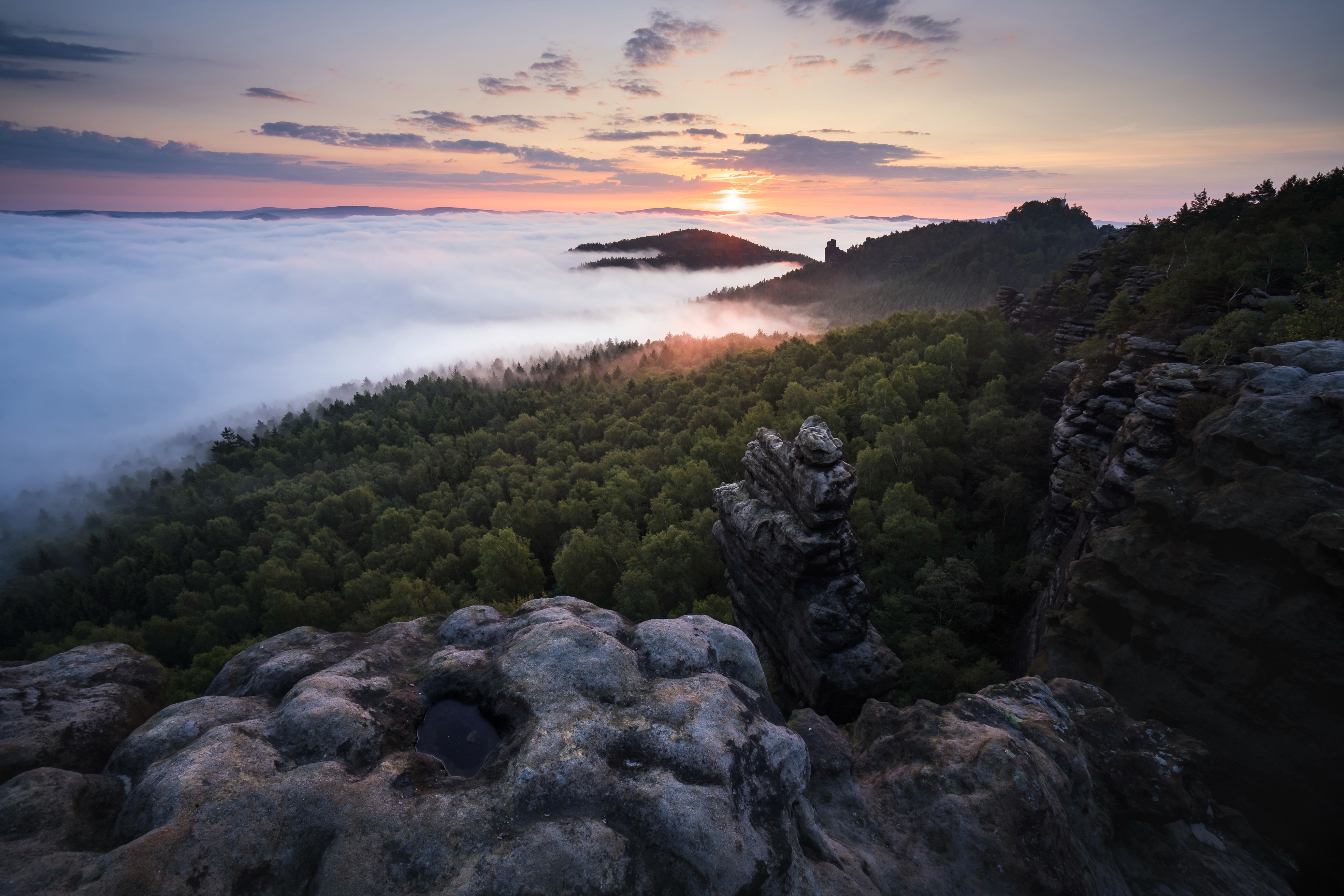 Laden Sie das Natur, Horizont, Wald, Nebel, Sonnenaufgang, Erde/natur-Bild kostenlos auf Ihren PC-Desktop herunter